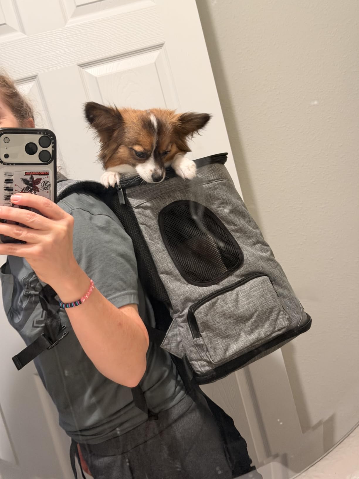 Petsfit Dog and Cat Backpack Carrier, Padded Waist Support, Up to 18 lb customer photo 2