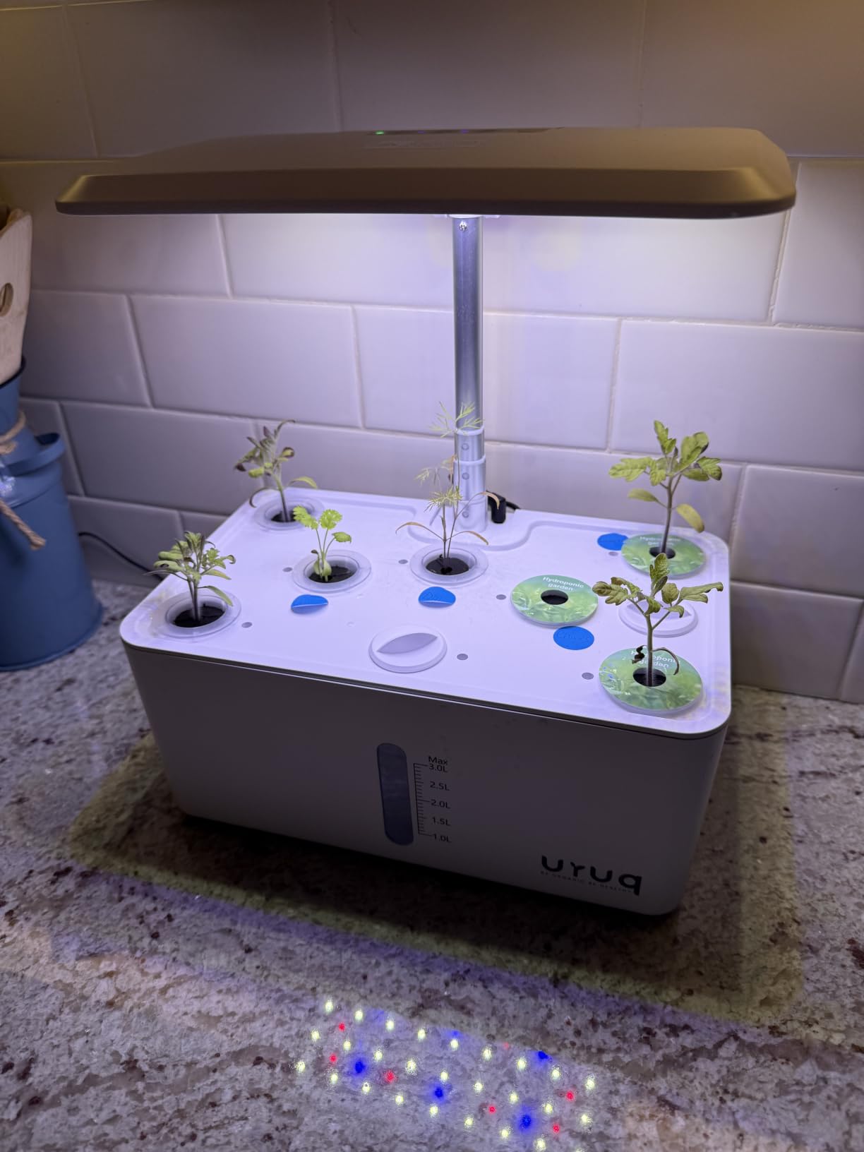 URUQ 8 Pods Hydroponics Growing System with LED Grow Light - White customer photo 1