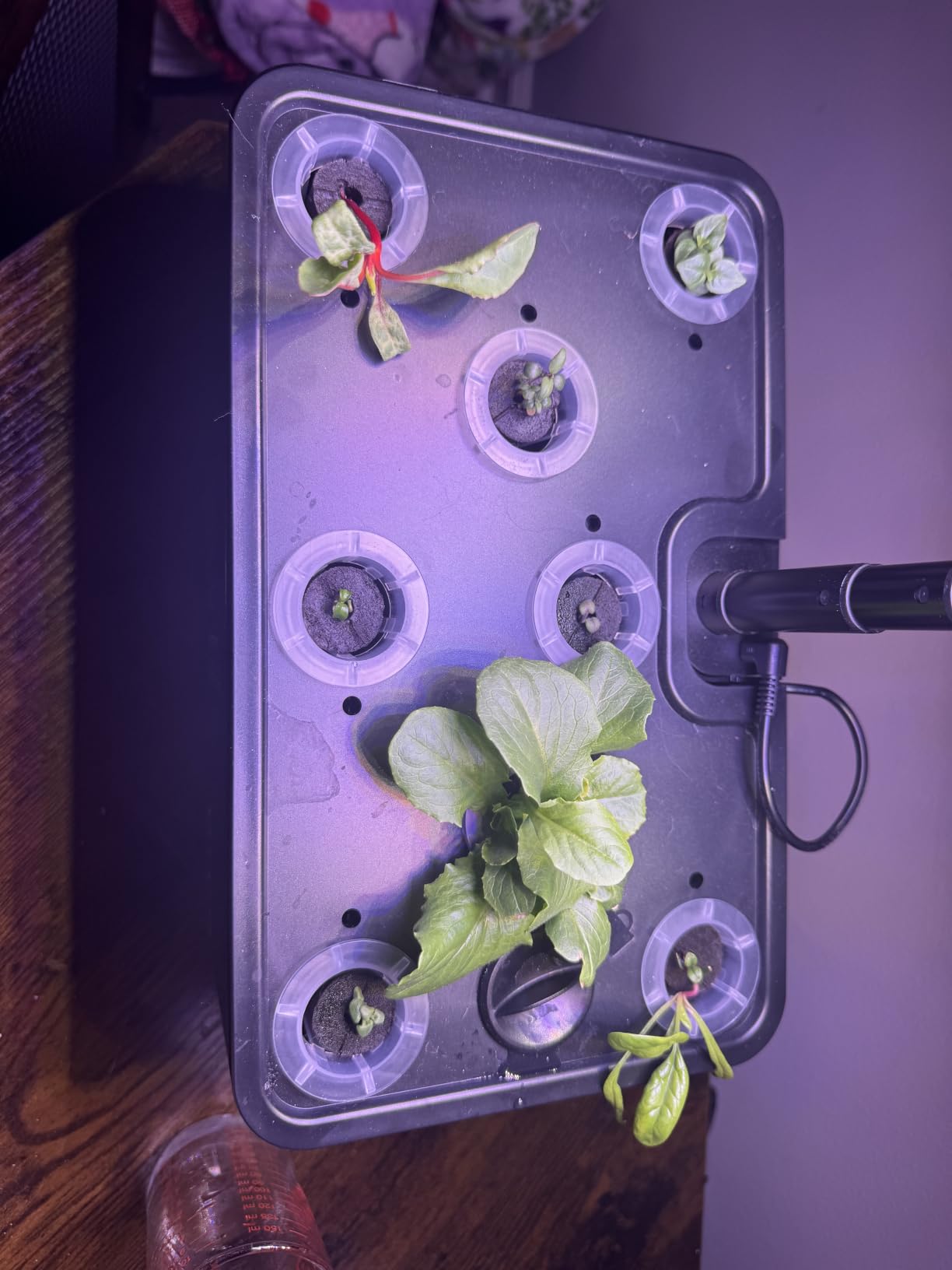 URUQ 8 Pods Hydroponics Growing System with LED Grow Light - White customer photo 2