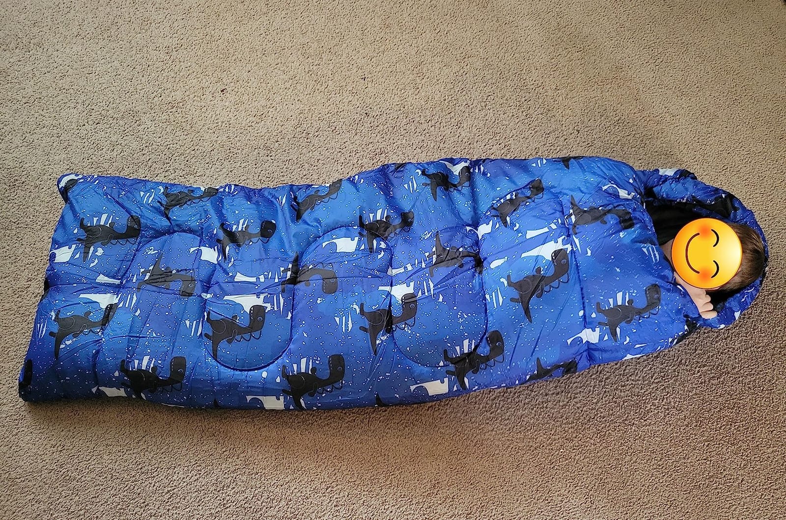Kids Sleeping Bags - Camping Sleeping Bags with Carry Bag - Compact Sleeping Bag for Hiking, Backpacking 3 Season Warm & Cool Weather, Lightweight Waterproof Outdoor Travel for Boys Girls customer photo 1