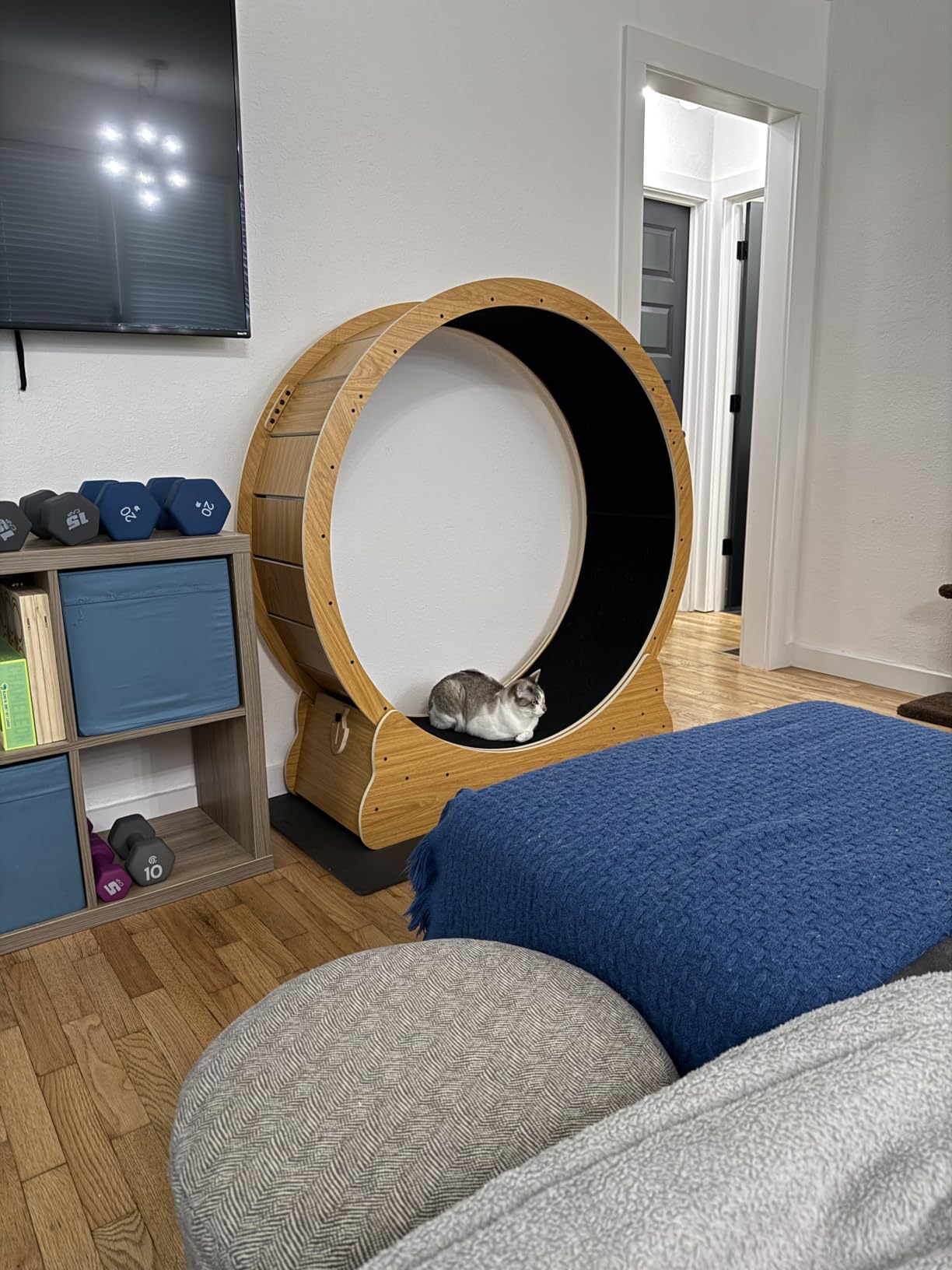 Nordic Beast 48'' XL Cat Wheel – Safe, Quiet & Stable Exercise Wheel for Large Indoor Cats up to 45 lbs – 15.7'' Extra-Wide Surface Fits 2 Cats Side by Side & Prevents Wobbling, 1-Year Warranty customer photo 1