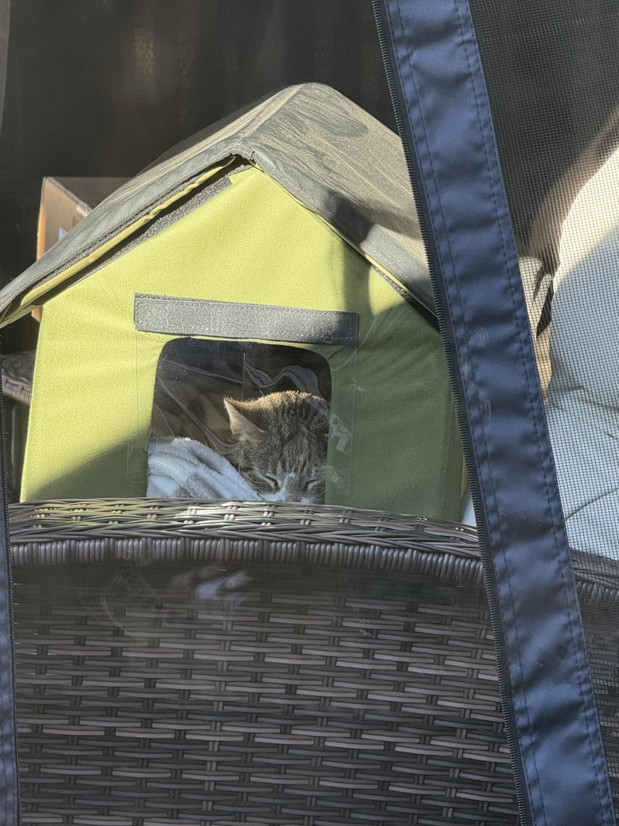 Heated Cat Houses for Outdoor Cats - Elevated Weatherproof Insulated Heated Outdoor Cat House for Winter - Feral Cat Shelter for Outside Cats - Outdoor Heated Cat House (Green) customer photo 2