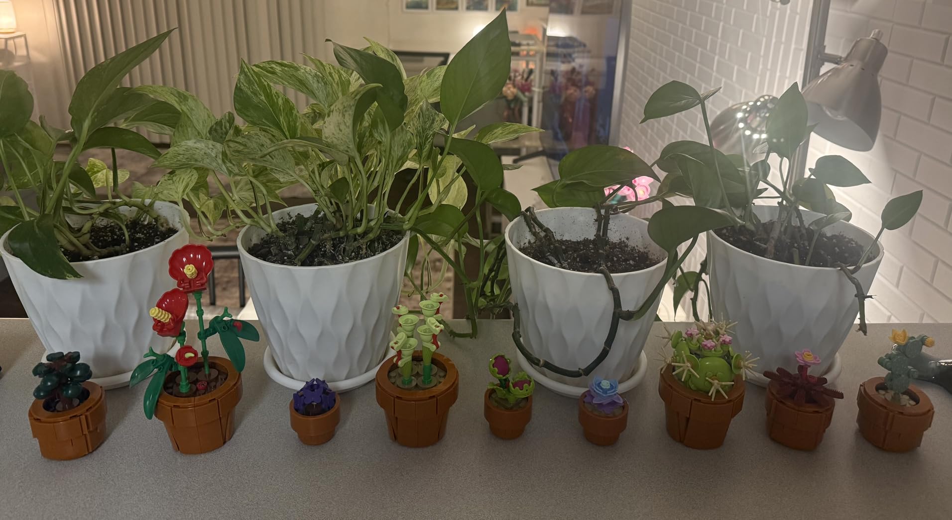 LEGO Botanicals Tiny Plants - Artificial, Fake Indoor Plant Building Set for Home, Kitchen, Desk Decoration, Adults Ages 18+ - Gift for Birthdays - 10329 customer photo 1