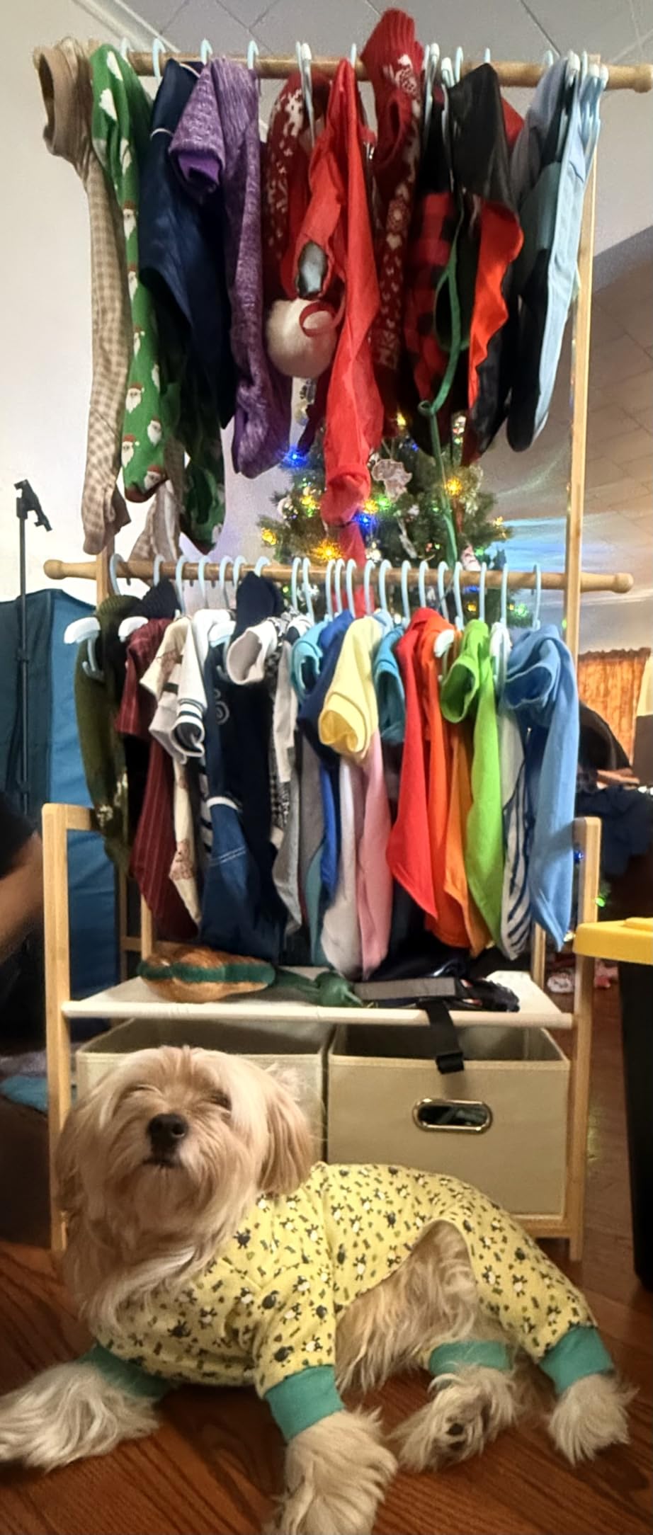 Bamboo Kids Clothing Rack: Holds Up To 121 Lbs of Dress-Up Clothes customer photo 2