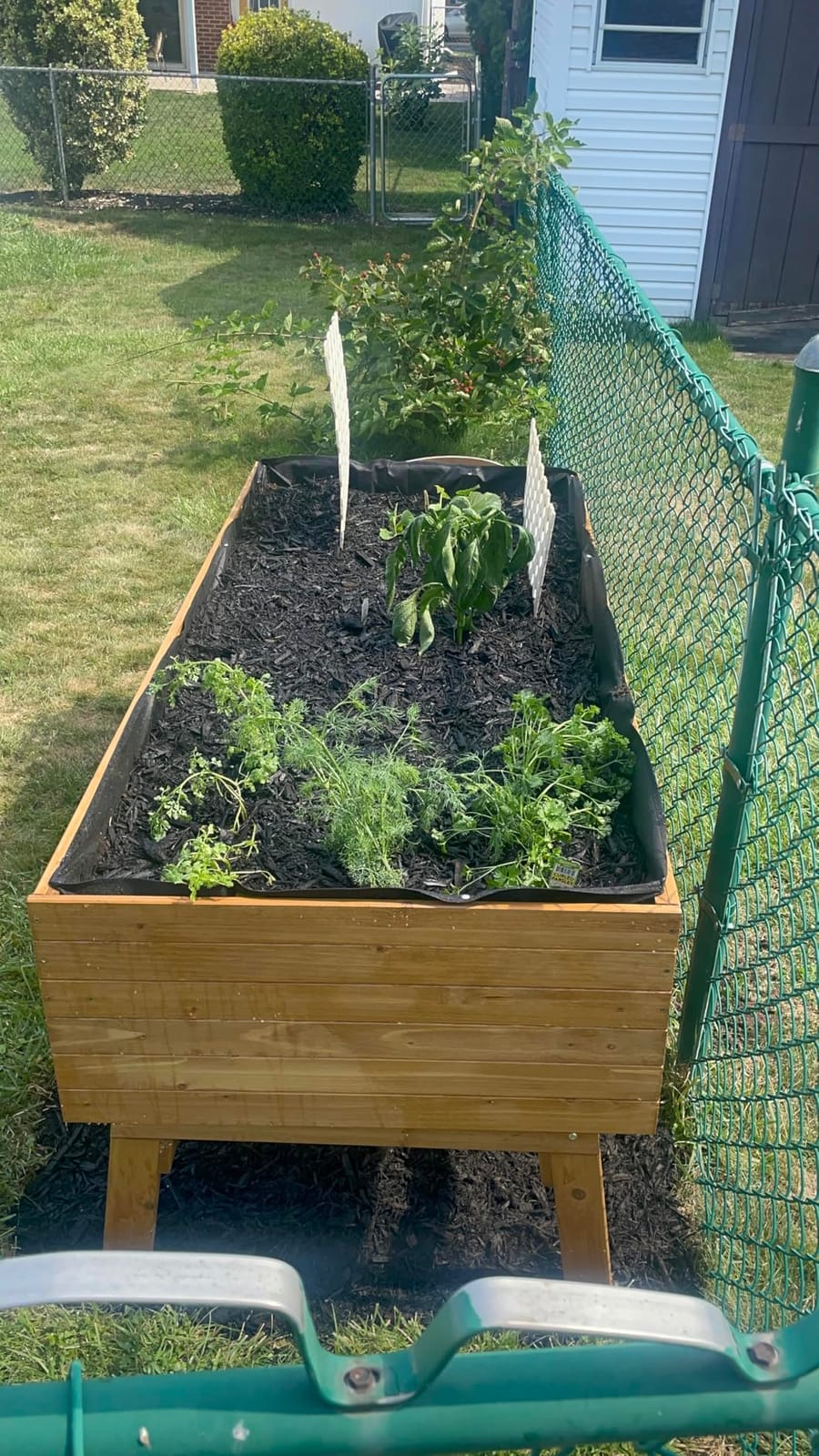 VEIKOU 6x3x2FT Raised Garden Bed, Outdoor Oversize Planter Box with Liner, Cedar Garden Bed with Legs for Vegetables Flower Herb, 837lbs Capacity, Rustic Brown customer photo 1