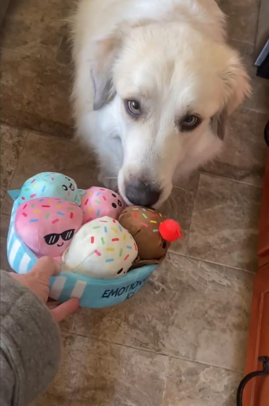 Emotional Support Dumplings, Cuddly Stuffed Animals by Relatable customer photo 2