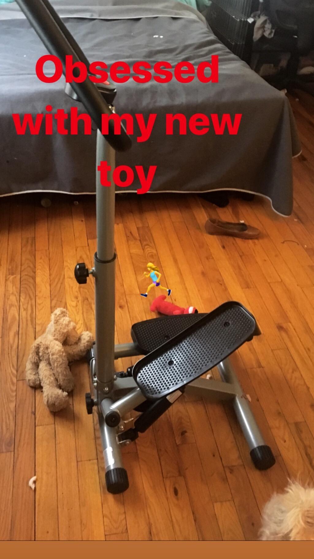 Sunny Health & Fitness Smart Twist Stair Stepper with Adjustable Handlebar customer photo 2