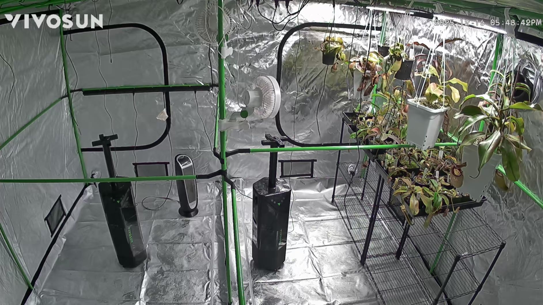VIVOSUN P558 PRO Grow Tent 5x5 Large Indoor Grow Tents 60