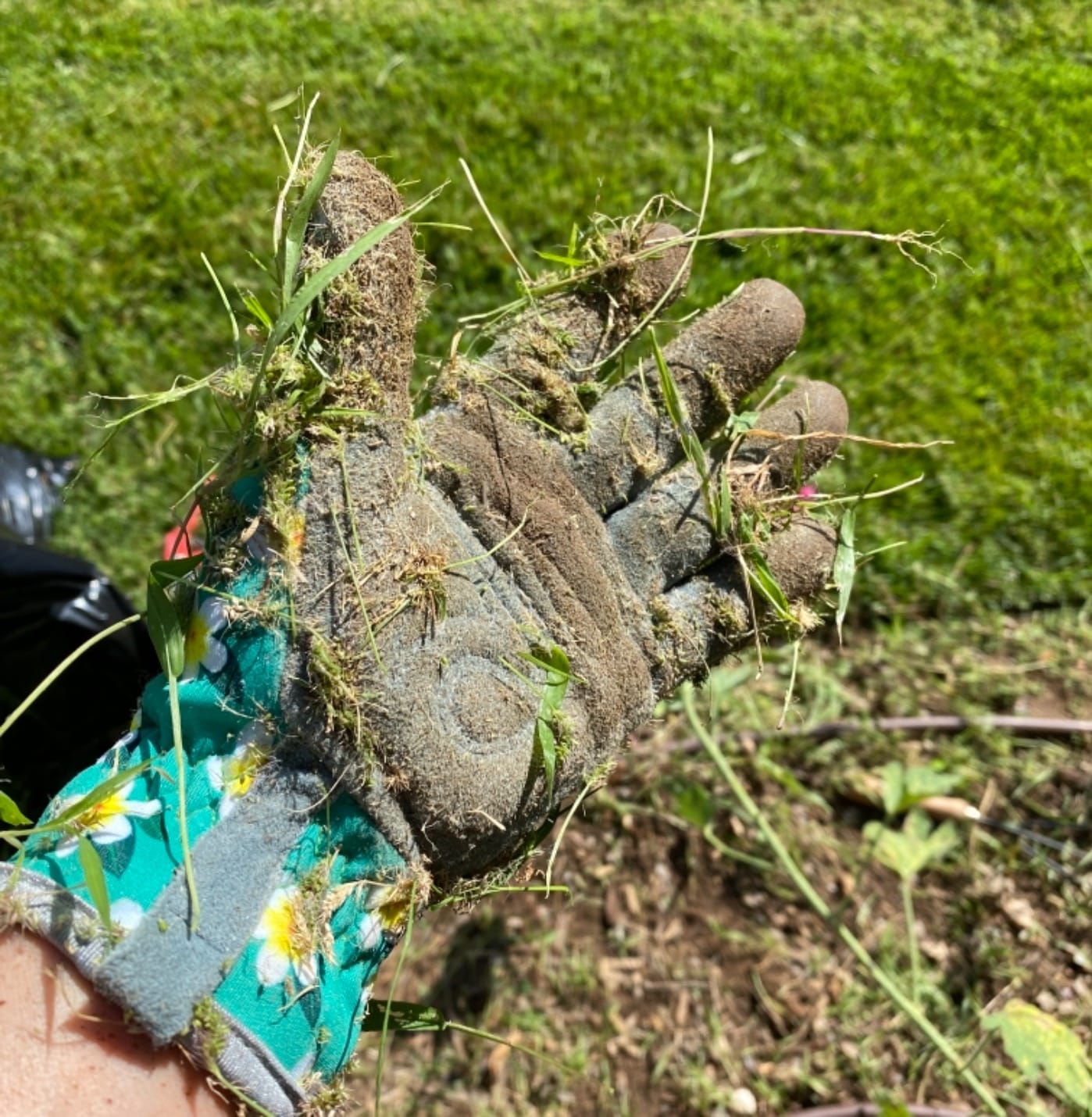 SKYDEER Premium Genuine Deerskin Suede Women's Gardening Gloves, Ultra-Soft Padded, Comfort Fit for Work (SD6611LL/M) customer photo 2