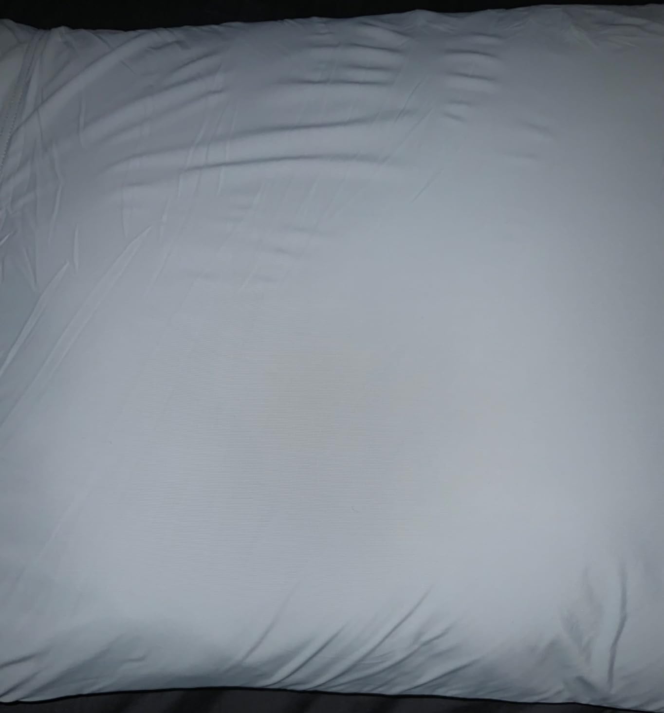 Cozy Bliss 2 Pack Cooling Pillow Cases, Queen 20