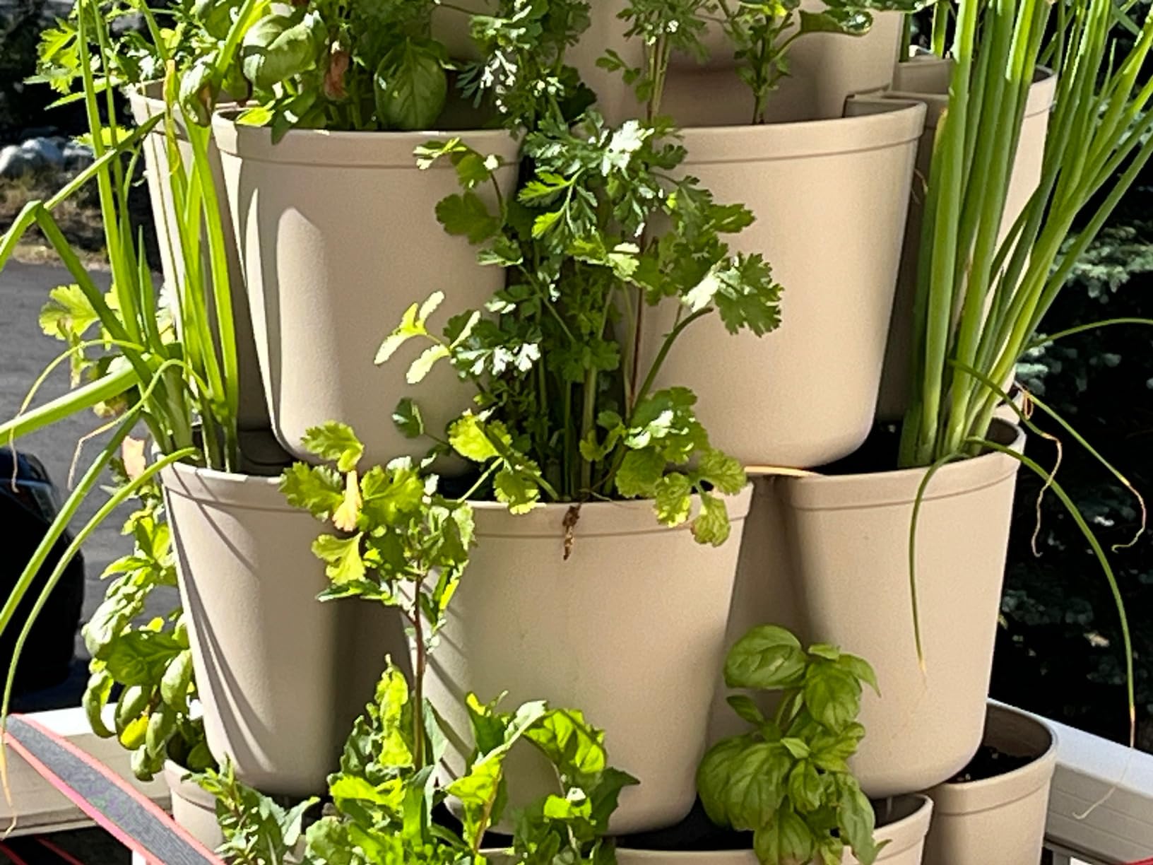Greenstalk 7 Tier Leaf Vertical Planter for Growing a Variety of Strawberries, Vegetables, Herbs, & Flowers (Evergreen) customer photo 1