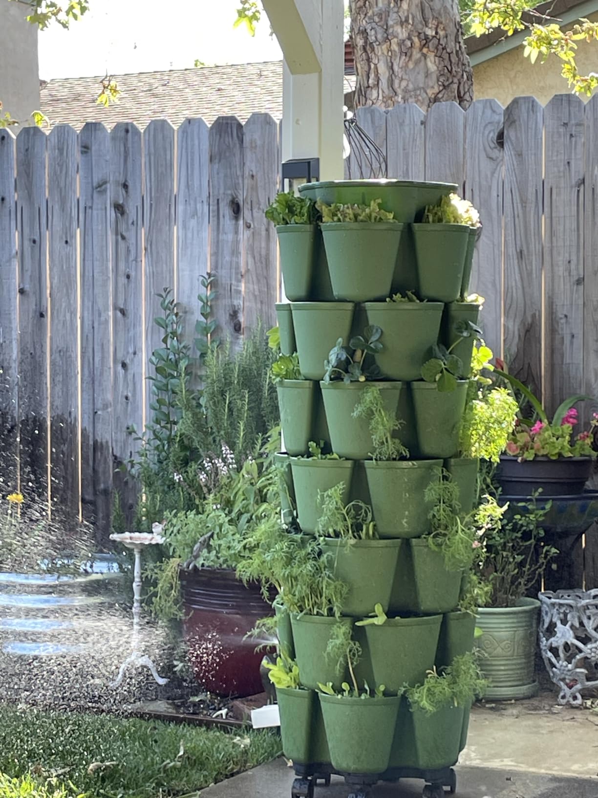 Greenstalk 7 Tier Leaf Vertical Planter for Growing a Variety of Strawberries, Vegetables, Herbs, & Flowers (Evergreen) customer photo 2