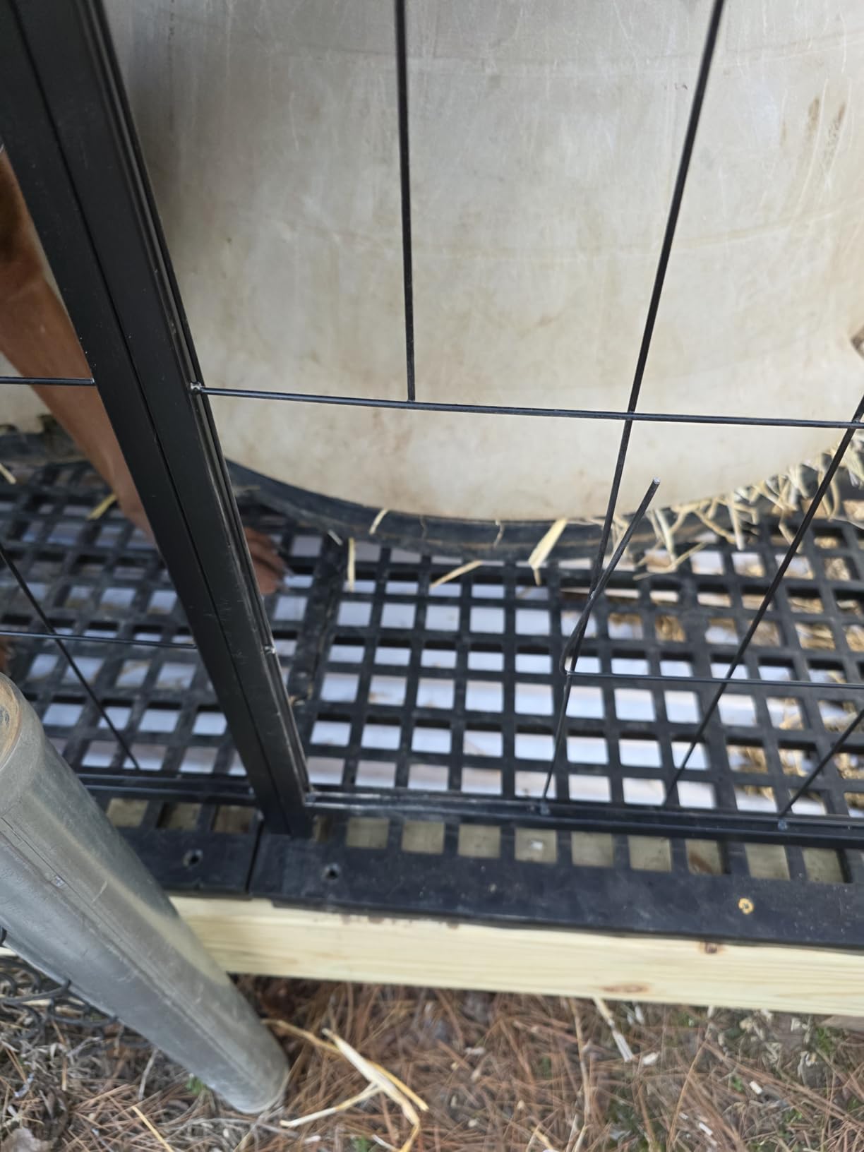 ROOMTEC Large Dog Kennel Outdoor Pet Pens Dogs Run Enclosure Animal Hutch Metal Coop Fence with Roof Cover (4'L x 4'W x 4.25'H) customer photo 2