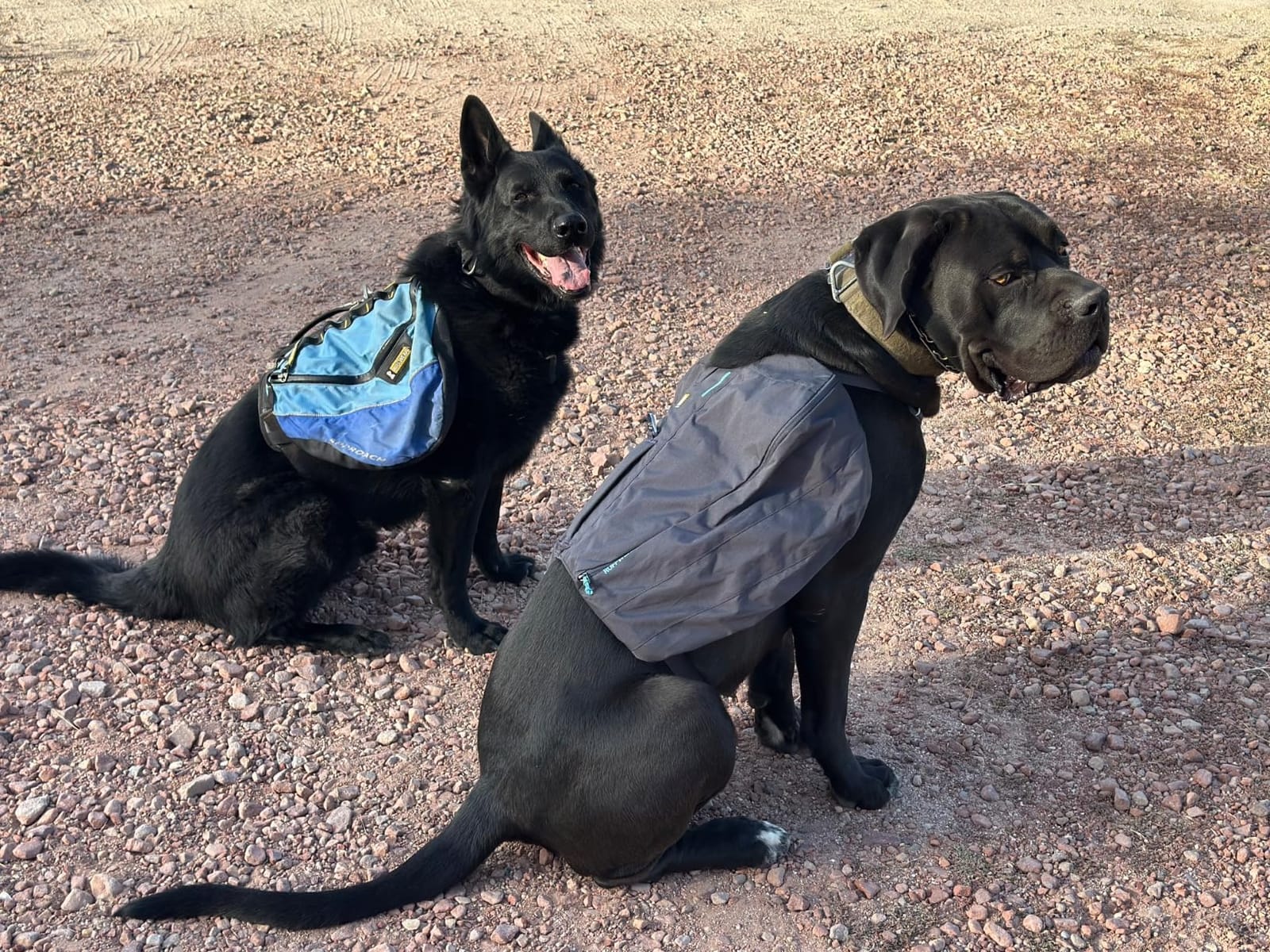 Ruffwear, Front Range Day Pack, River Rock Green, Medium customer photo 1