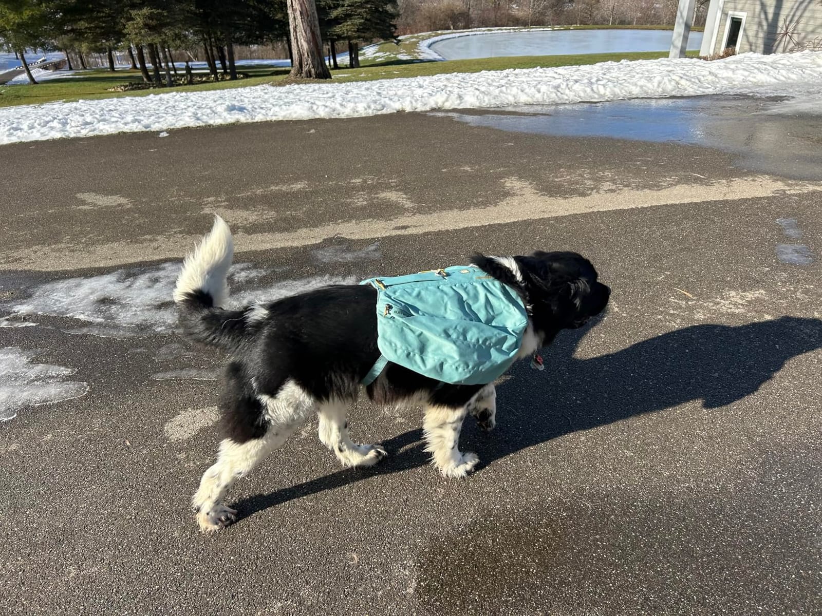 Ruffwear, Front Range Day Pack, River Rock Green, Medium customer photo 2