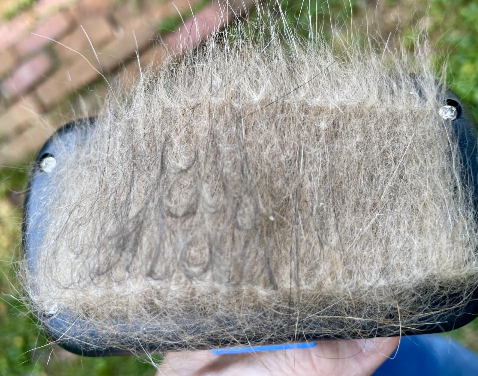 Swihauk Self Cleaning Slicker Brush - Skin Friendly Deshedding Grooming Tool for Dogs & Cats, Suitable for Shedding & Haired Pets, with Pet Supplies Accessories, Blue customer photo 2