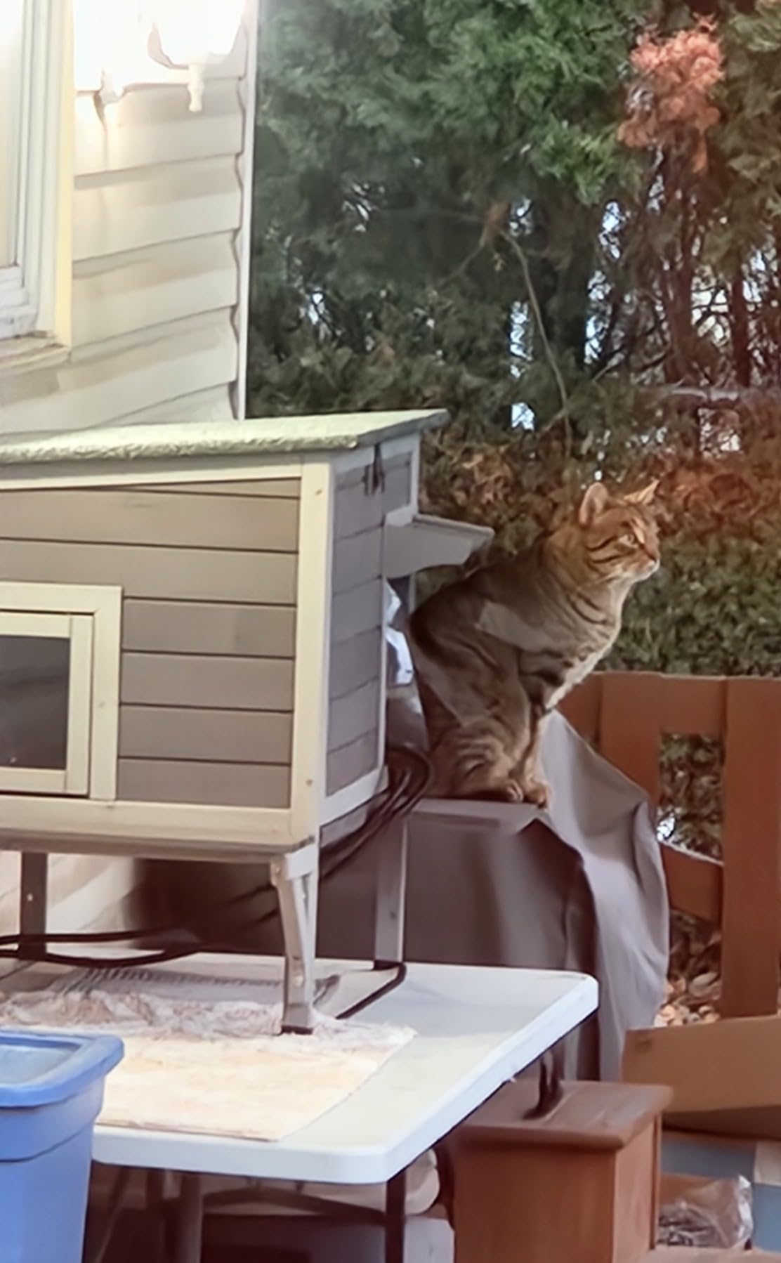 Aivituvin Heated Outdoor Cat House with Heating Pad, Insulated Liner customer photo 1