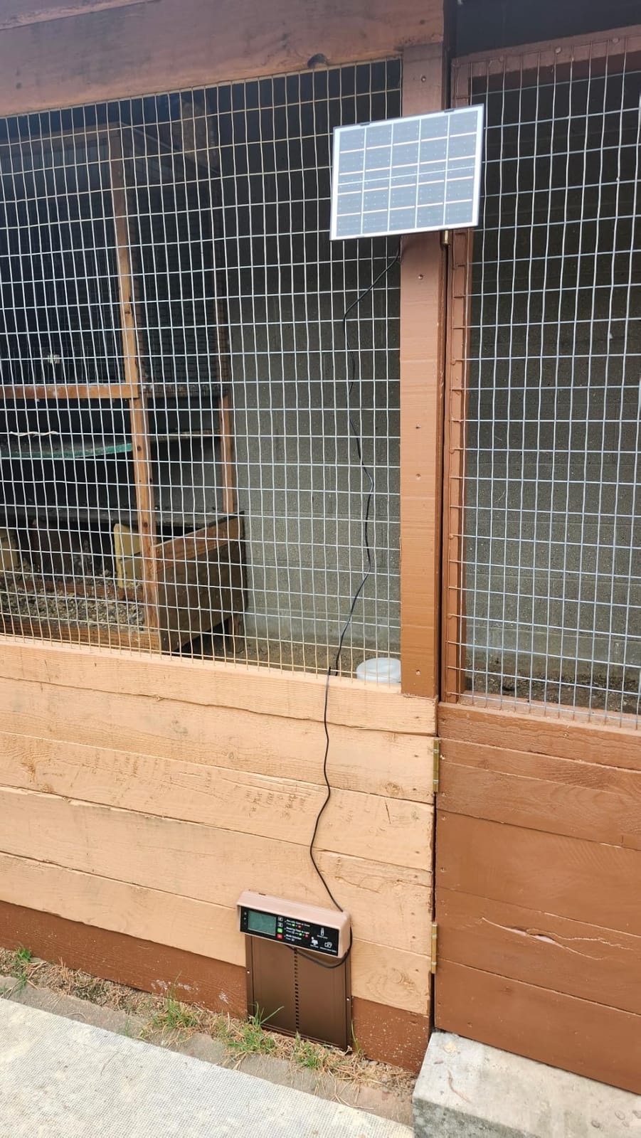 Asfrost Automatic Chicken Coop Door Solar Powered Automatic Chicken Door with Timer & Light Sensor, Anti-Pinch, Durable Aluminum Auto Chicken Door, Charge with 7W Solar Panel & USB - Orange customer photo 2