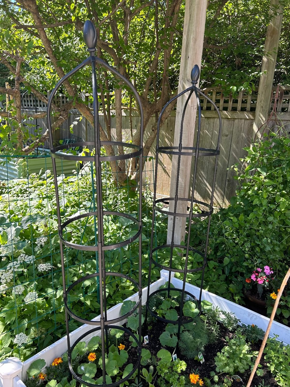 1 Pack Garden Obelisk Trellis for Climbing Plants Outdoor, 6FT Adjustable Metal Plant Support with 3 Decorative Tops, Black Rustproof Trellis for Roses, Tomatoes, Clematis & Vines customer photo 2