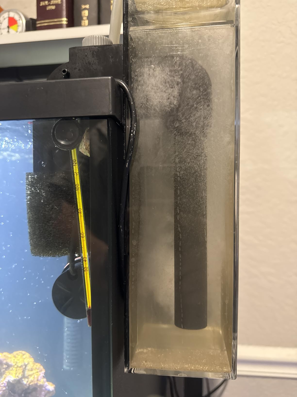 Coralife Hang on DC-Controlled Mini Protein Skimmer Saltwater Aquariums customer photo 1