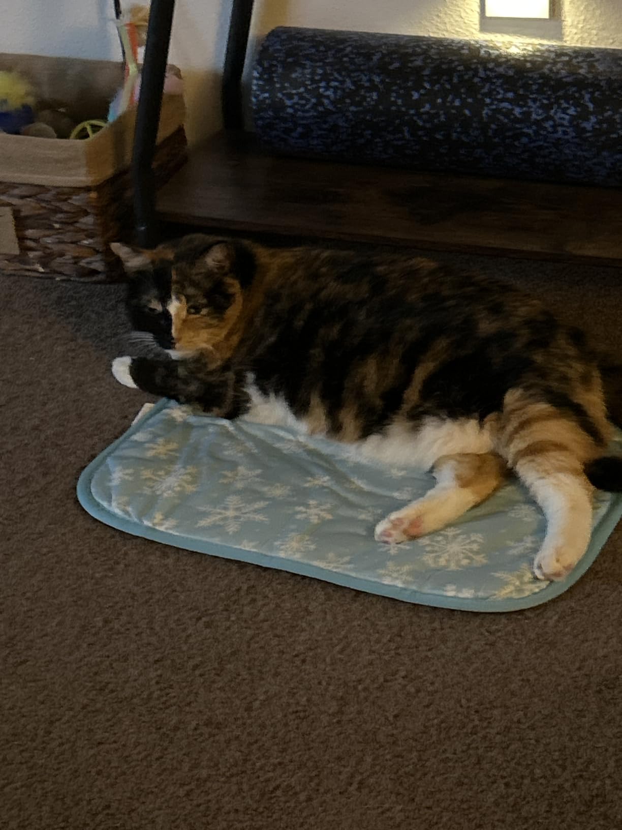NACOCO Summer Pet Cooling Mat - Cat Dog Cushion Pad Sleeping Cool Ducks Comfortable Soft for Pets Kids and Adults (Blue Duck, M) customer photo 1