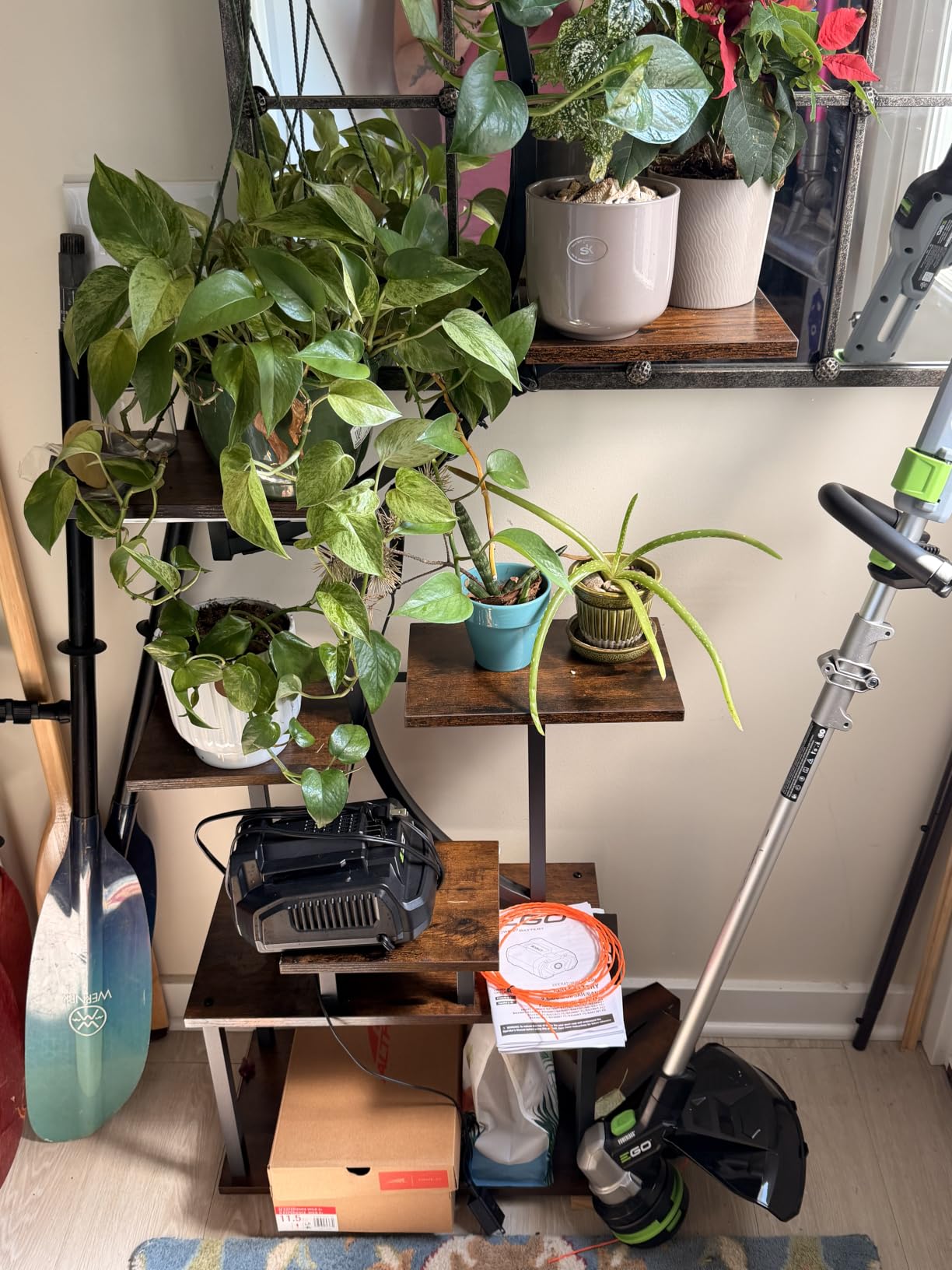 BACEKOLL Plant Stand Indoor with Grow Light, 8 Tier Corner Plant Shelf Tall customer photo 2