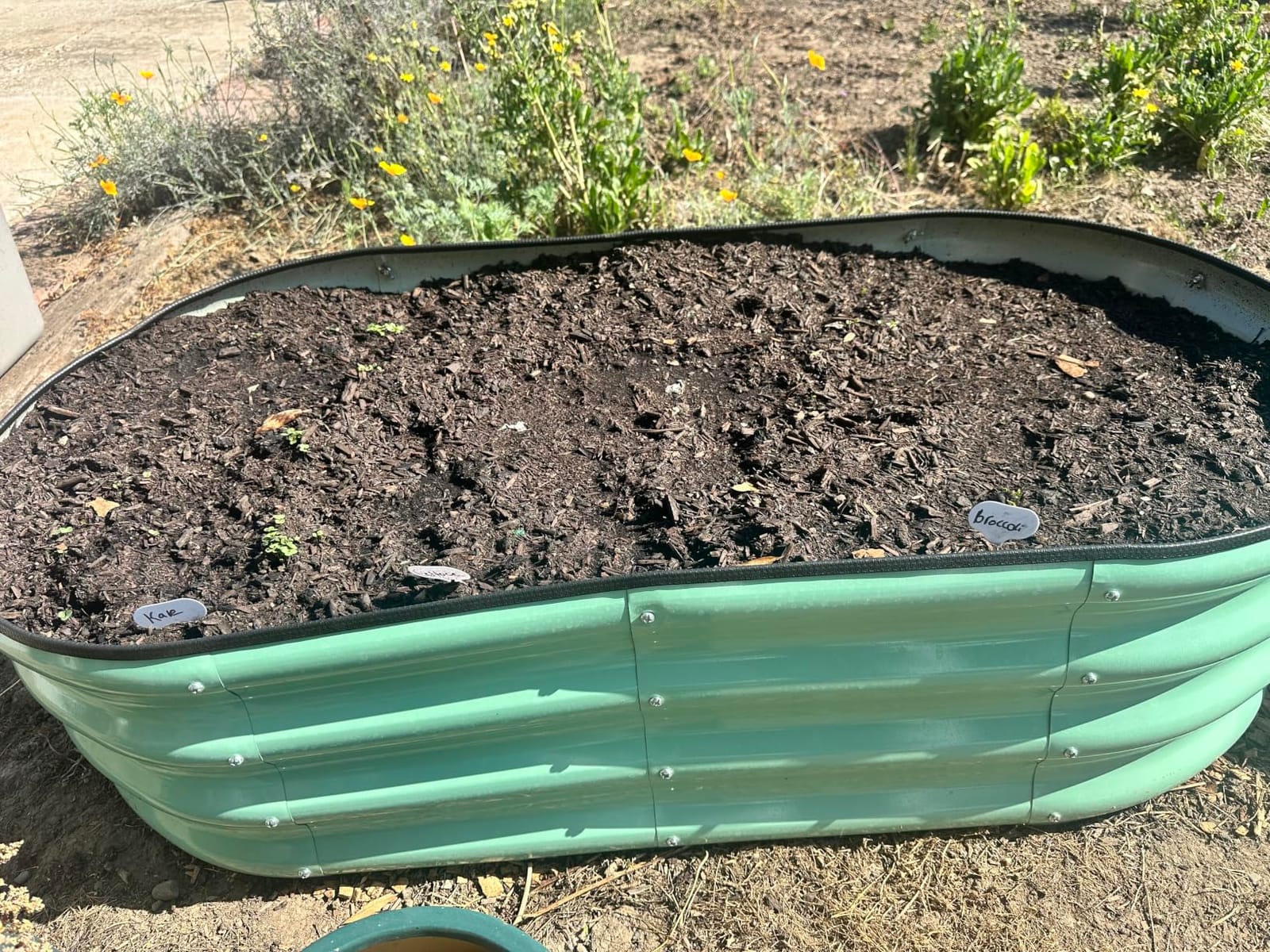 SnugNiture Raised Garden Bed Outdoor 4x2x1ft, 2 Pack customer photo 1