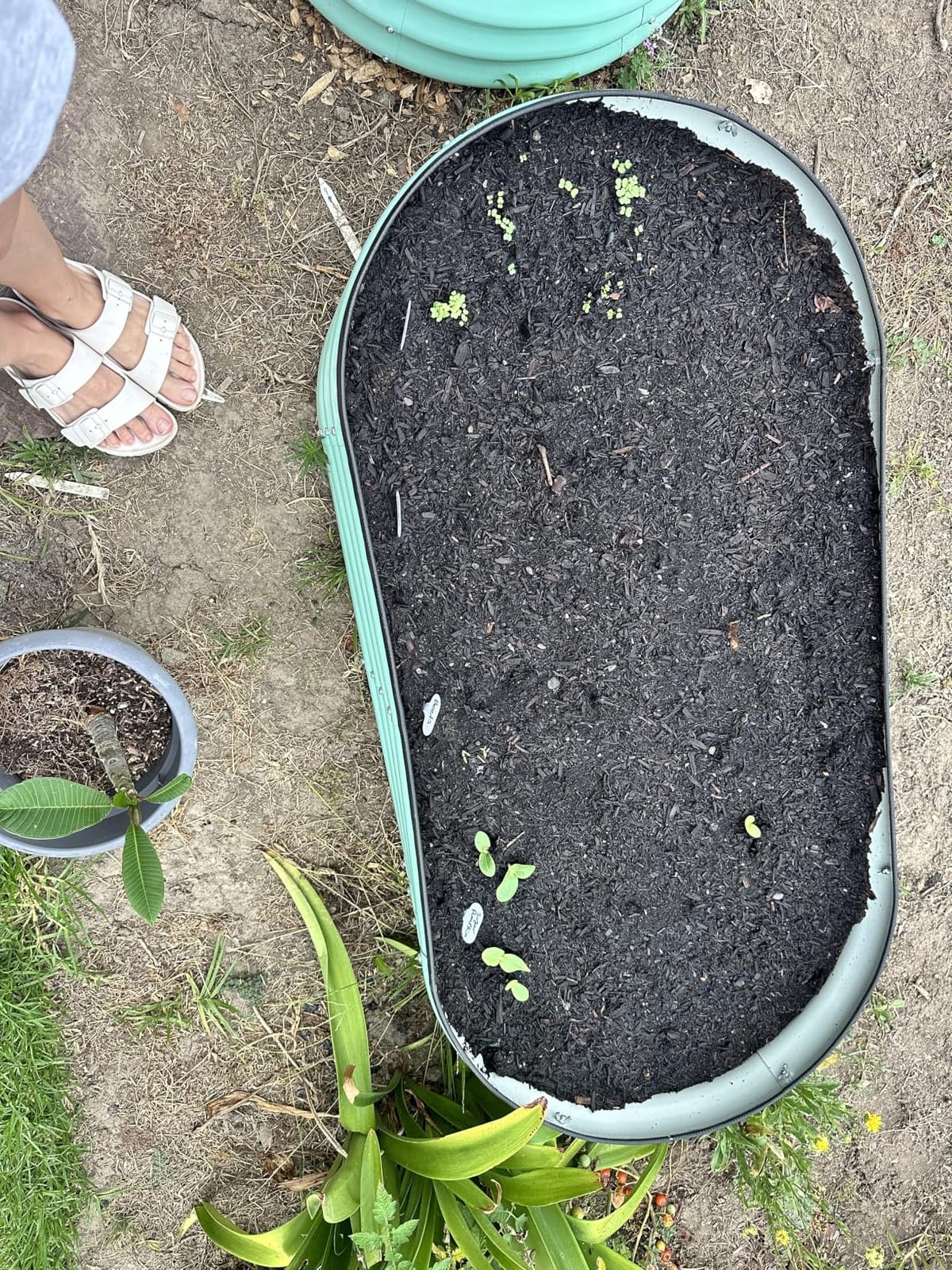 SnugNiture Raised Garden Bed Outdoor 4x2x1ft, 2 Pack customer photo 2