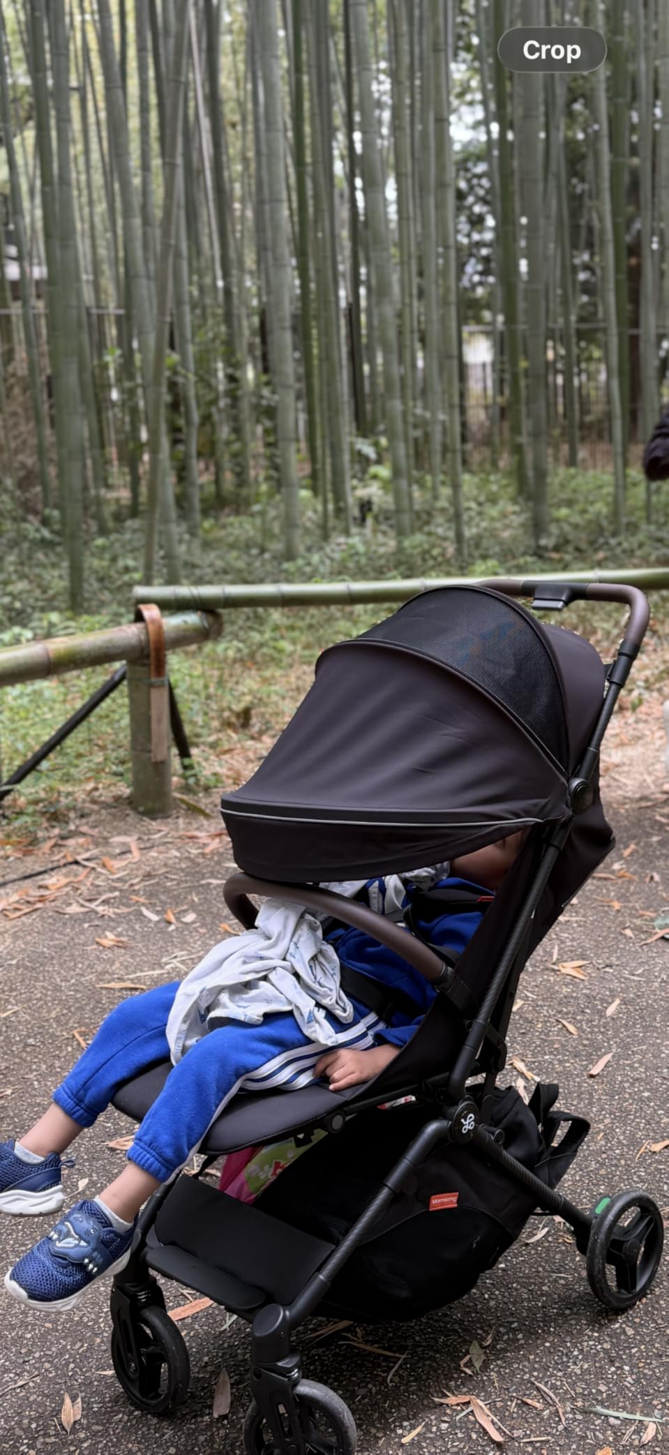 Mamazing Ultra Air Lightweight Baby Travel Stroller with Carbon Fiber Frame customer photo 2