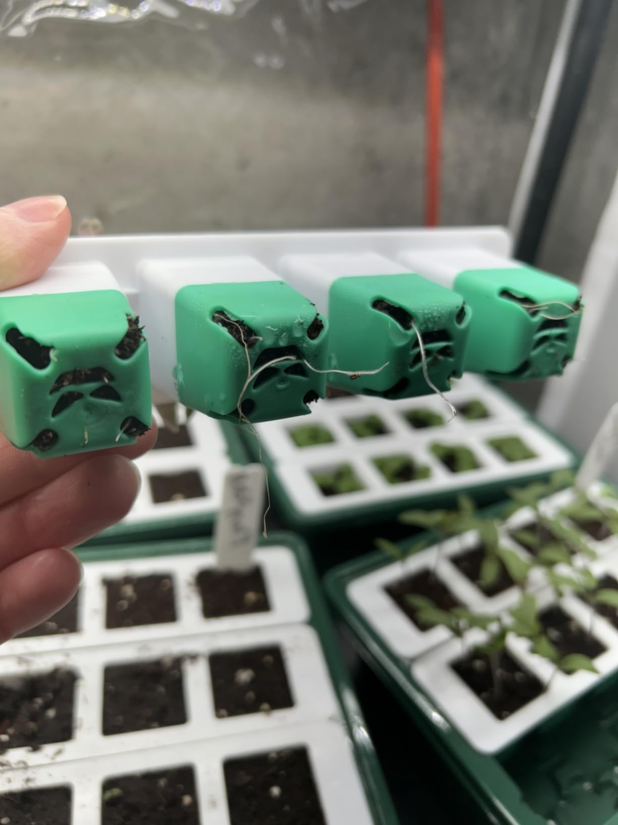 Sondiko Seed Starter Tray with Soft Silicone Cells, 80-Cell Starter Kit customer photo 1