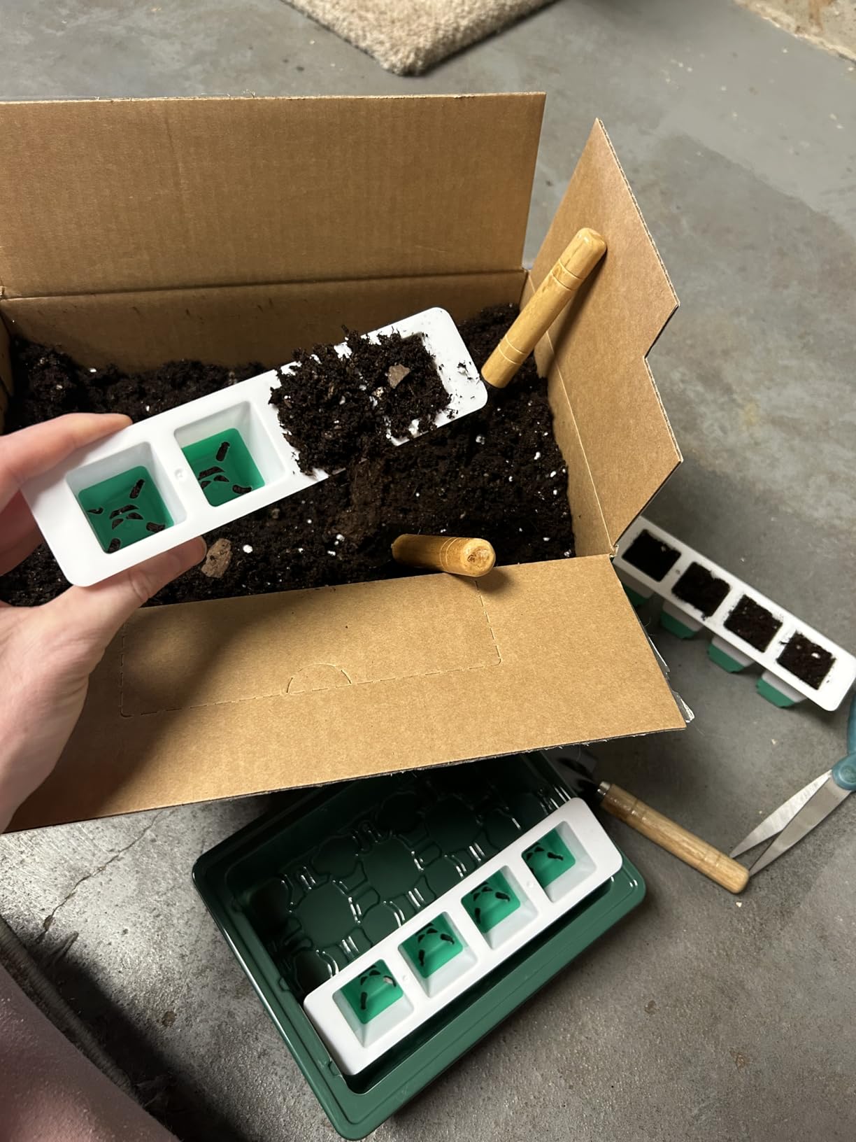 Sondiko Seed Starter Tray with Soft Silicone Cells, 80-Cell Starter Kit customer photo 2