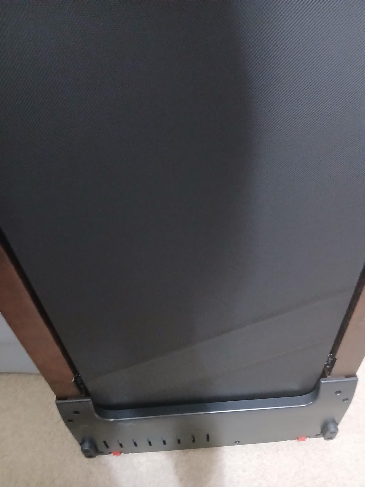 Treadmill for Small & Medium Dog with Remote, Dog Running Training Machine customer photo 1