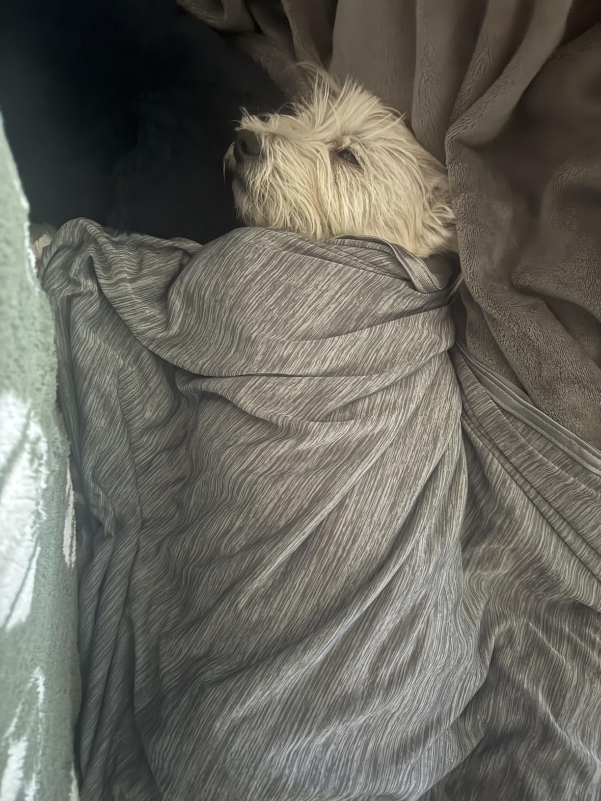 SLEEP ZONE Nanotex Cooling Blanket for Hot Sleepers, Double-Sided Cold Blanket King Size for Bed, Lightweight Summer Blankets for Sleeping (Dark Grey, 90''x108'') customer photo 1