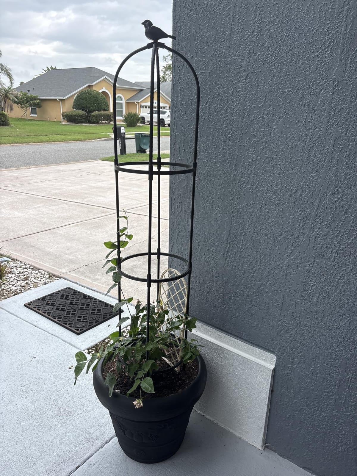 FOLLOOK Garden Obelisk Trellis for Climbing Plants Outdoor, 2 Pack customer photo 1