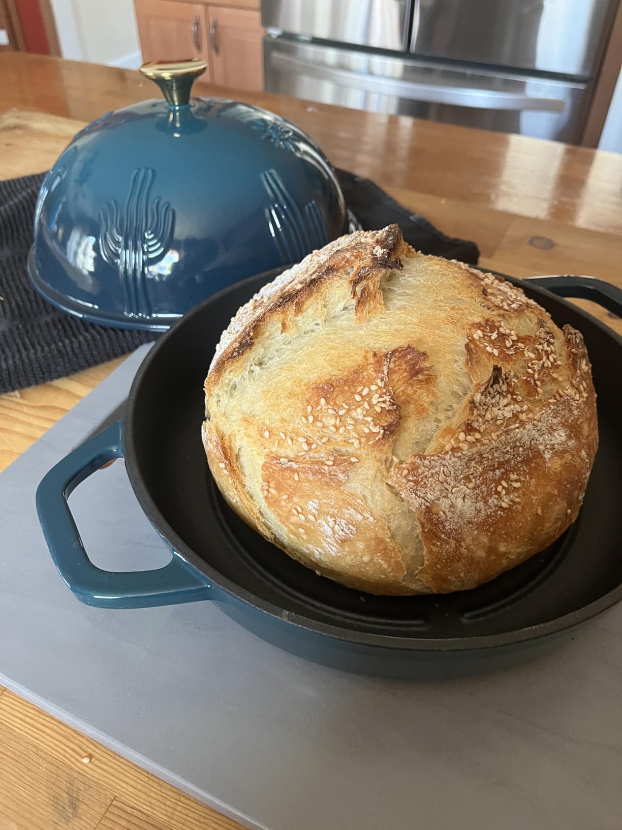 Flavehc Bread Oven Cast Iron Bread Dutch Oven with Cloche Lid for Bread Baking Darkcyan Enameled Cast Iron Bread Oven with Dome Lid for Sourdough, 9.8 Inches customer photo 1