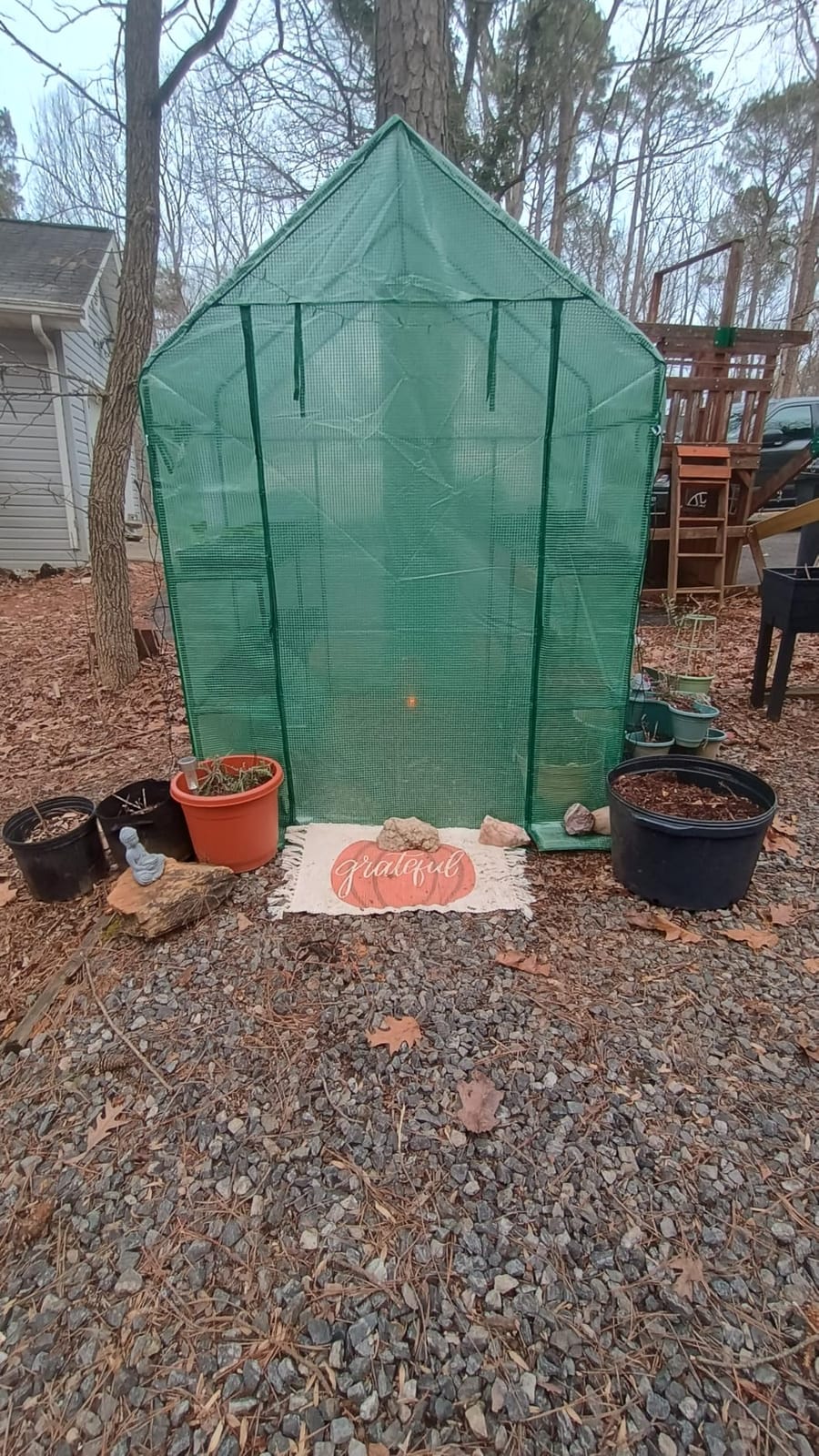 SPECILITE 56×56×78Inch Walk-in Greenhouse for Outdoors Garden Plant, Green customer photo 1