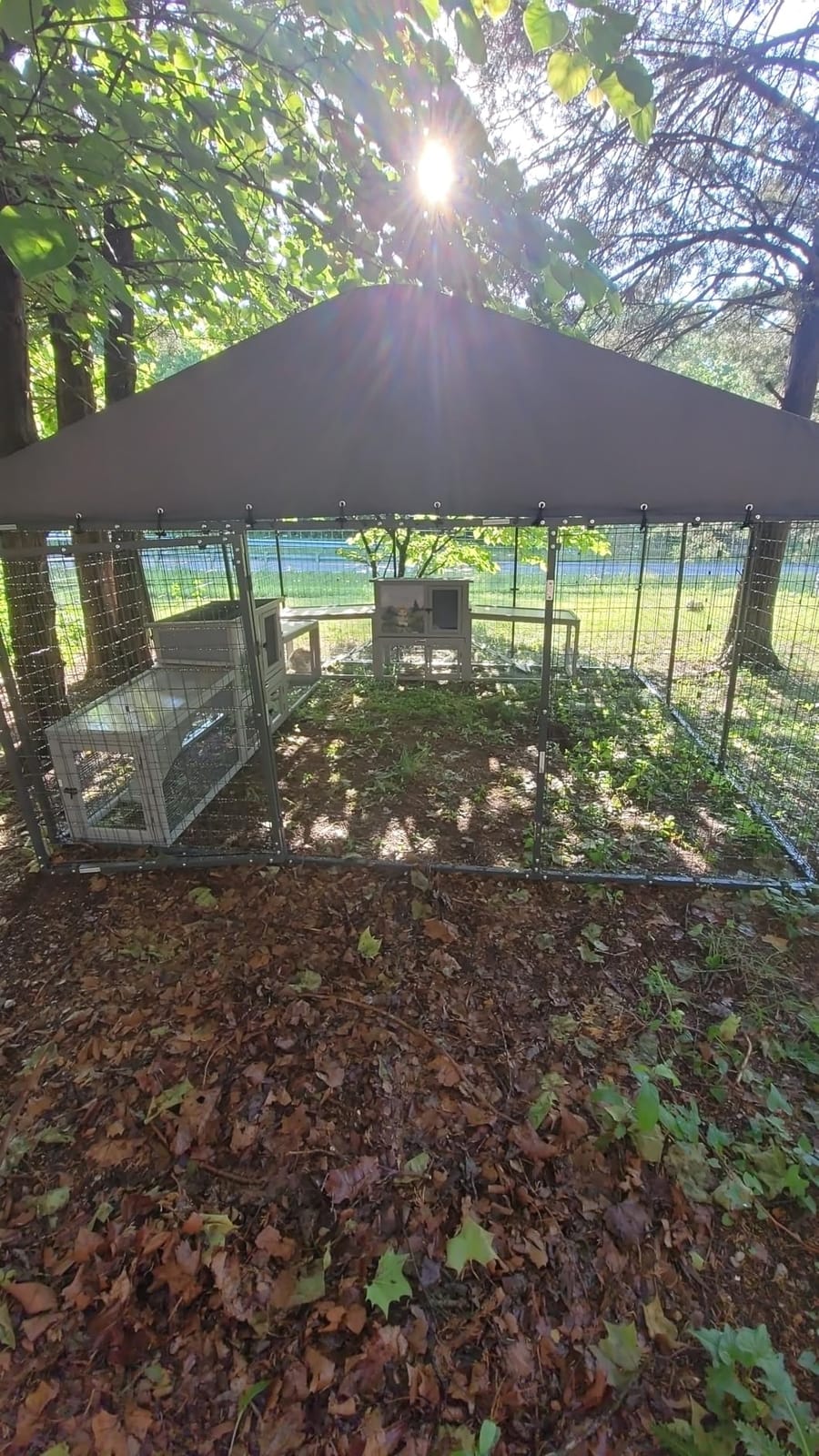 Gotland Dog Kennel Outdoor 10 x10 x6 FT, Dog Cage Outdoor for Medium/Large Dogs with Waterproof Roof Double Secure Locks Ground Spikes, All Weather Heavy Duty Dog Enclosure for Backyard Farm Ranch customer photo 2