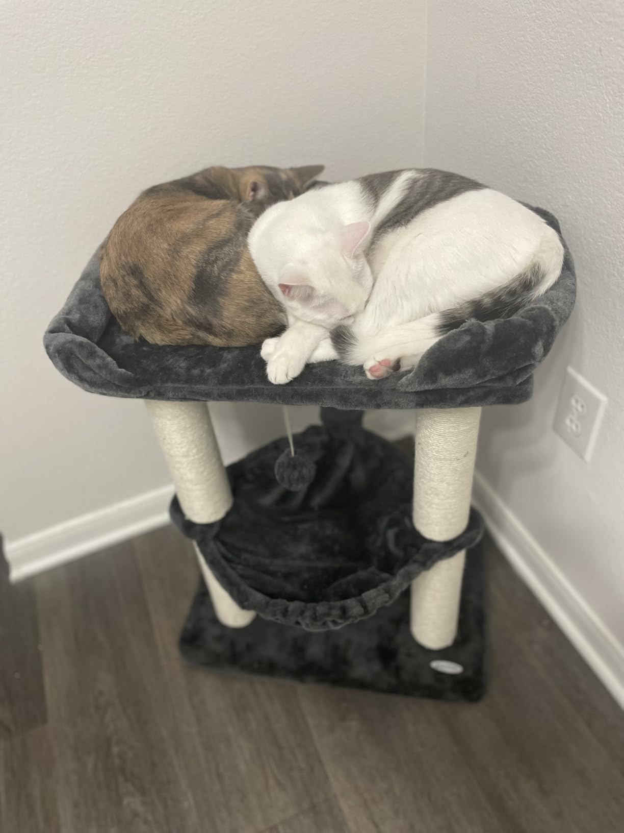 Happi N Pets Cat Tree, Cat Scratching Posts with Large Bed for Big Cats customer photo 1