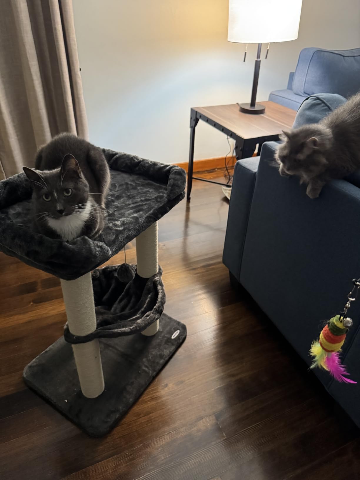 Happi N Pets Cat Tree, Cat Scratching Posts with Large Bed for Big Cats customer photo 2