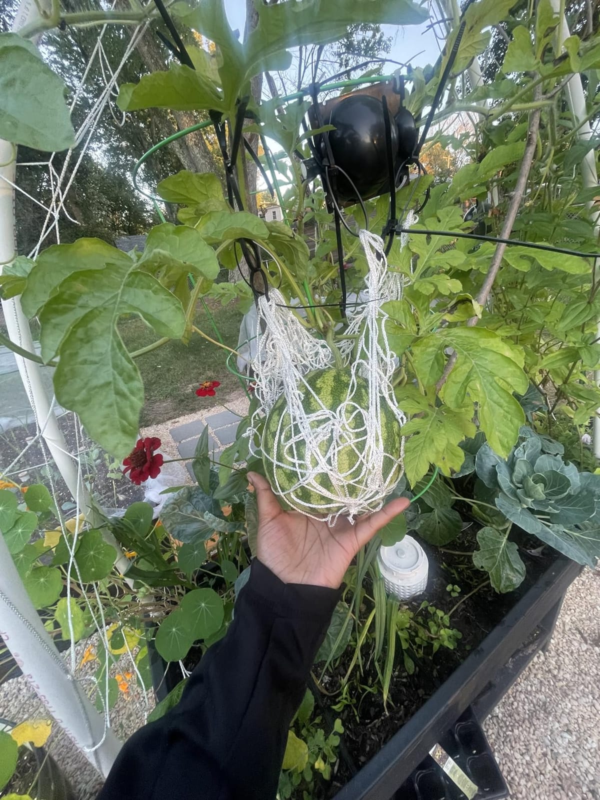 Underground Worm Farm, Garden Mini vermicomposting bin for use in Outdoor Gardening from Kitchen Food Waste, with Holes and lid, White (10.2x4.3x4.3IN) customer photo 1