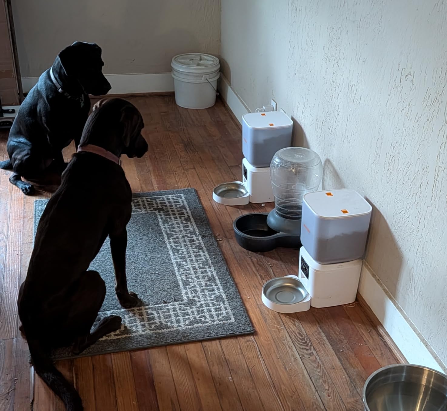Automatic Dog & Cat Feeder with Camera & WiFi – 8L/34 Cups, 1080P Night Vision, 2.4 & 5G WiFi, 2-Way Talk, 10s Voice Recording, Timed Food Dispenser, Up to 99 Portions, 15 Meals Per Day customer photo 1