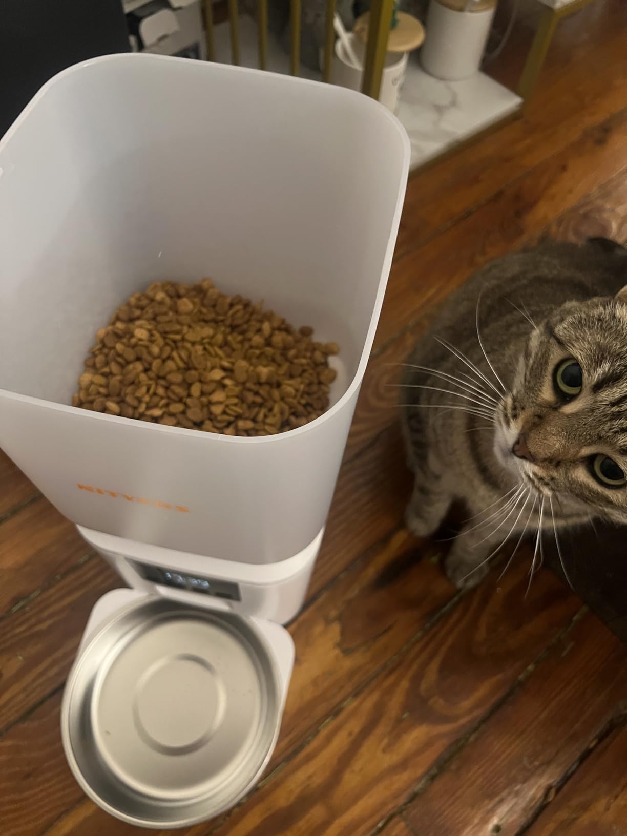 Automatic Dog & Cat Feeder with Camera & WiFi – 8L/34 Cups, 1080P Night Vision, 2.4 & 5G WiFi, 2-Way Talk, 10s Voice Recording, Timed Food Dispenser, Up to 99 Portions, 15 Meals Per Day customer photo 2