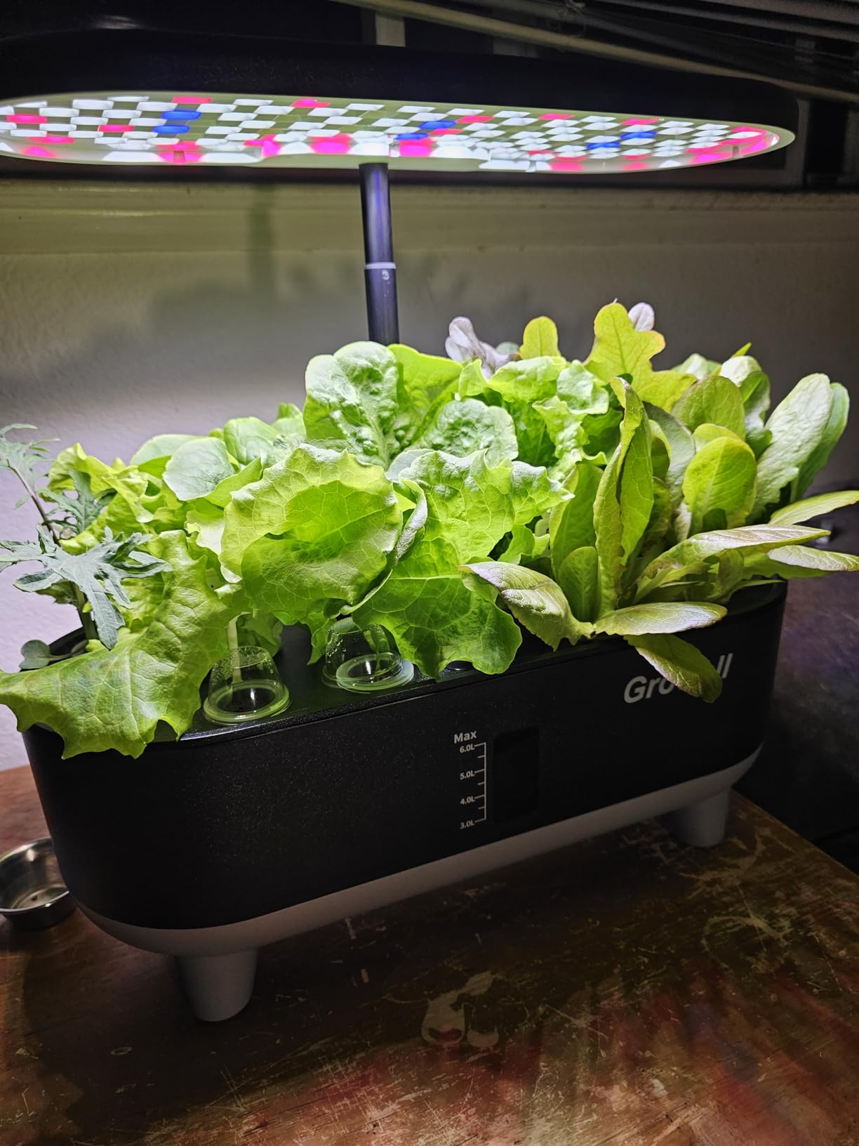 Growell Hydroponics Growing System Kit, 16 Pods Indoor Garden with 28W Full Spectrum LED Grow Light, Auto Timer, 3 Smart Light Modes, 8L Large Herb Garden, Ideal Gardening Gift for Women, Men (White) customer photo 2