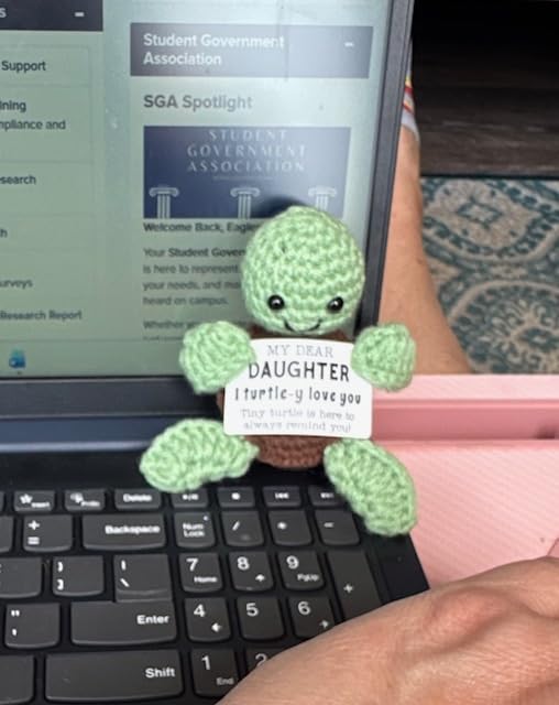 4THFARMES Mini Funny Turtle Brother Gifts from Sister Brother Birthday Gifts for Men Boys Friends Presents, I Love You Small Cool Cute Stuff Things, Handmade Emotional Positive Crochet Turtle customer photo 1