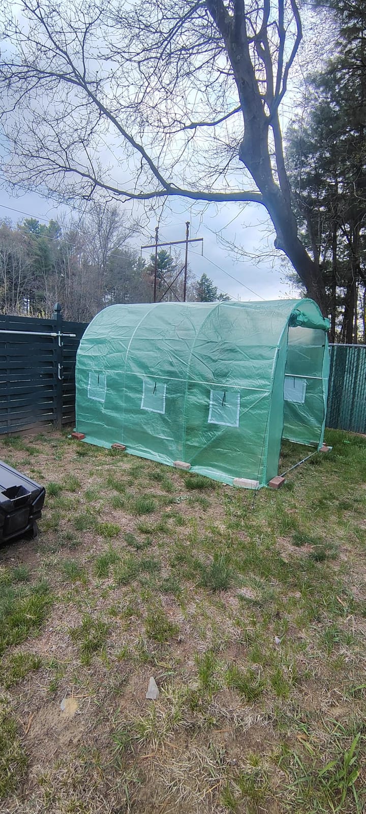 VEVOR Walk-in Tunnel Greenhouse, 9.6x6.4x6.2 ft Hoop House Greenhouse Tunnel, Plant Hot House with Galvanized Steel Frame, Green PE Cover, Roll-up Zipper Door and 6 Windows for Outdoor customer photo 1
