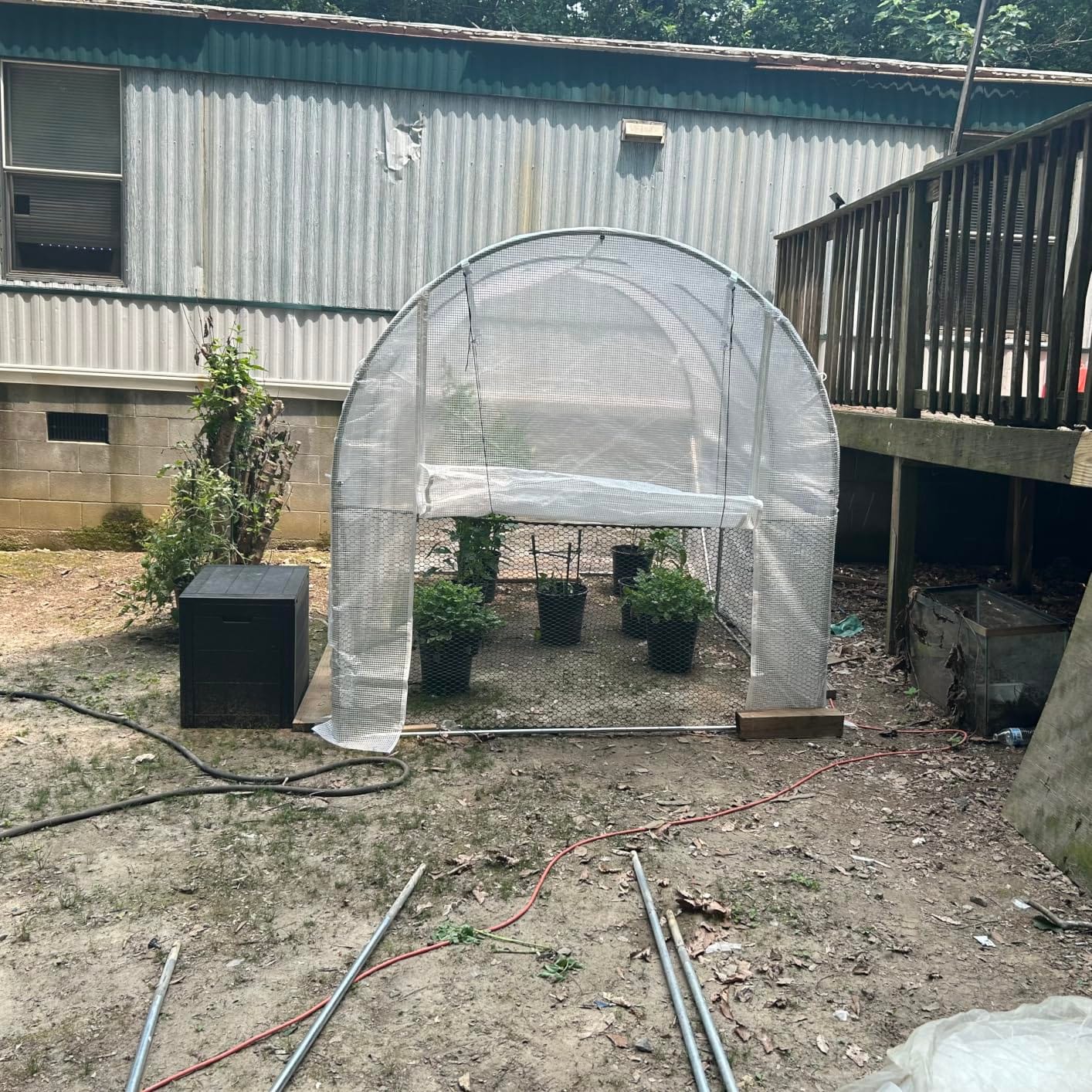 VEVOR Walk-in Tunnel Greenhouse, 9.6x6.4x6.2 ft Hoop House Greenhouse Tunnel, Plant Hot House with Galvanized Steel Frame, Green PE Cover, Roll-up Zipper Door and 6 Windows for Outdoor customer photo 2
