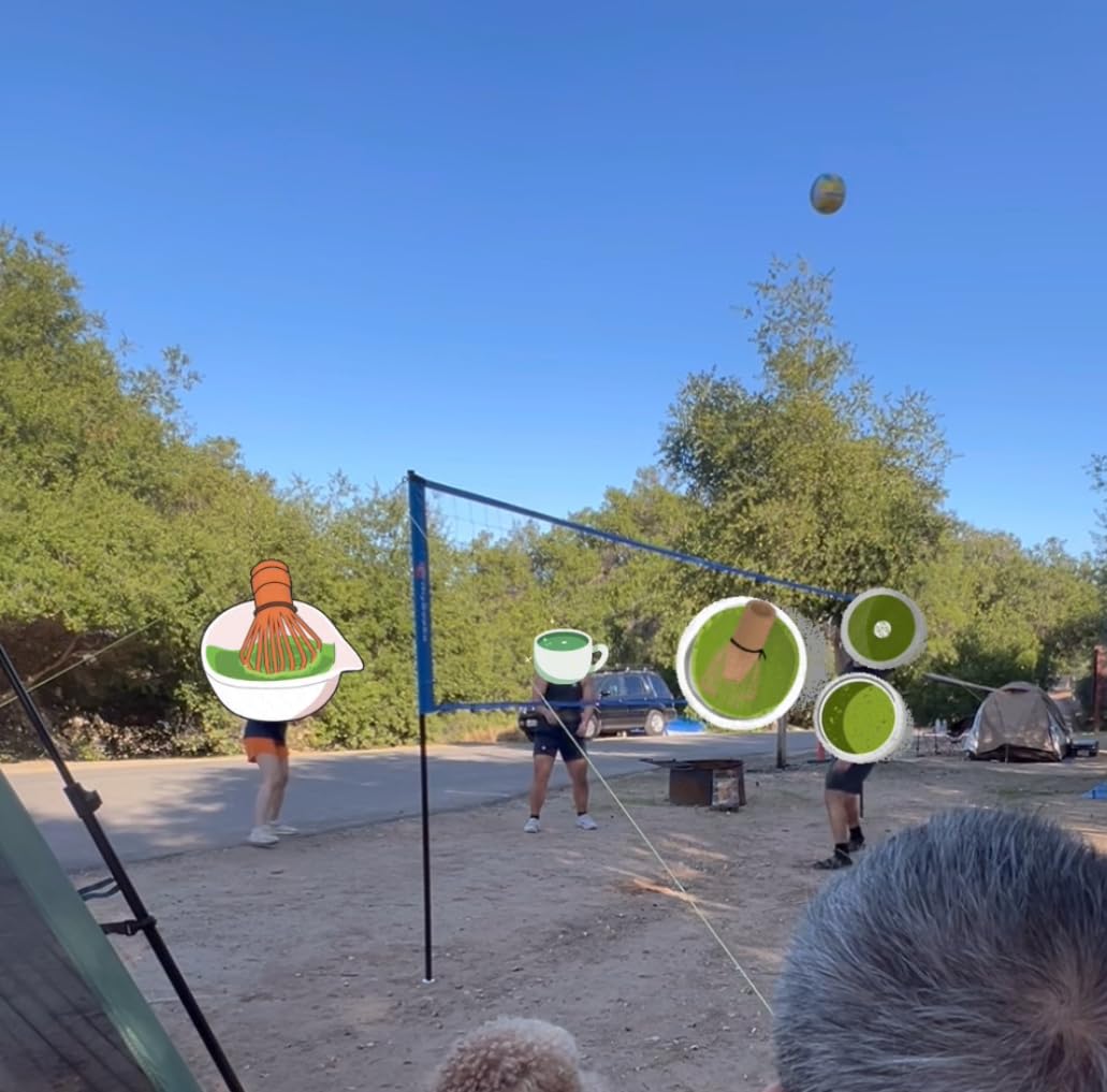 20FT Outdoor Volleyball Net Set System for Backyard Beach customer photo 1