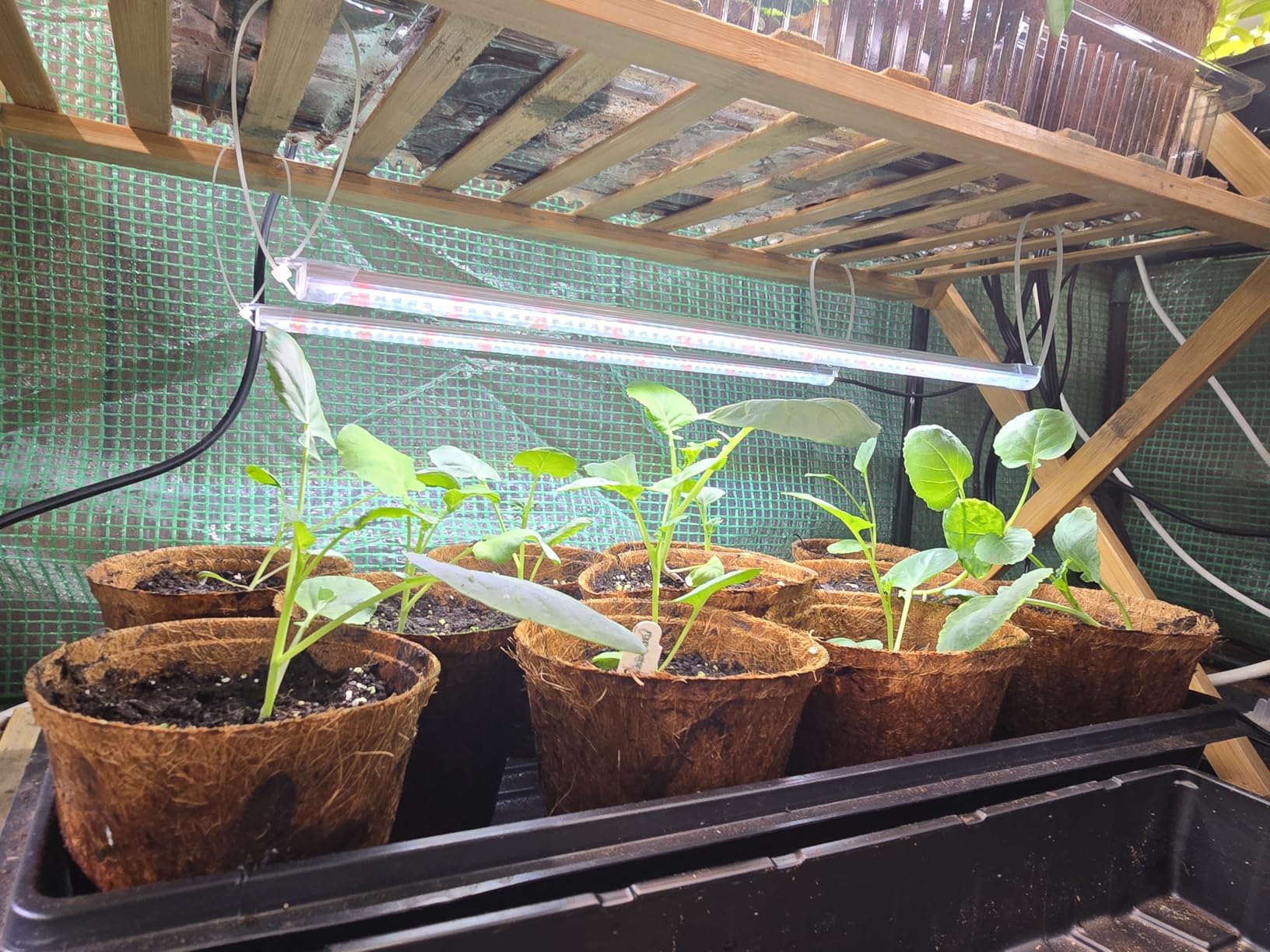 SDOVUERC 16'' 6 Bars Grow Light Strips for Indoor Shelves Plants Growing. customer photo 1