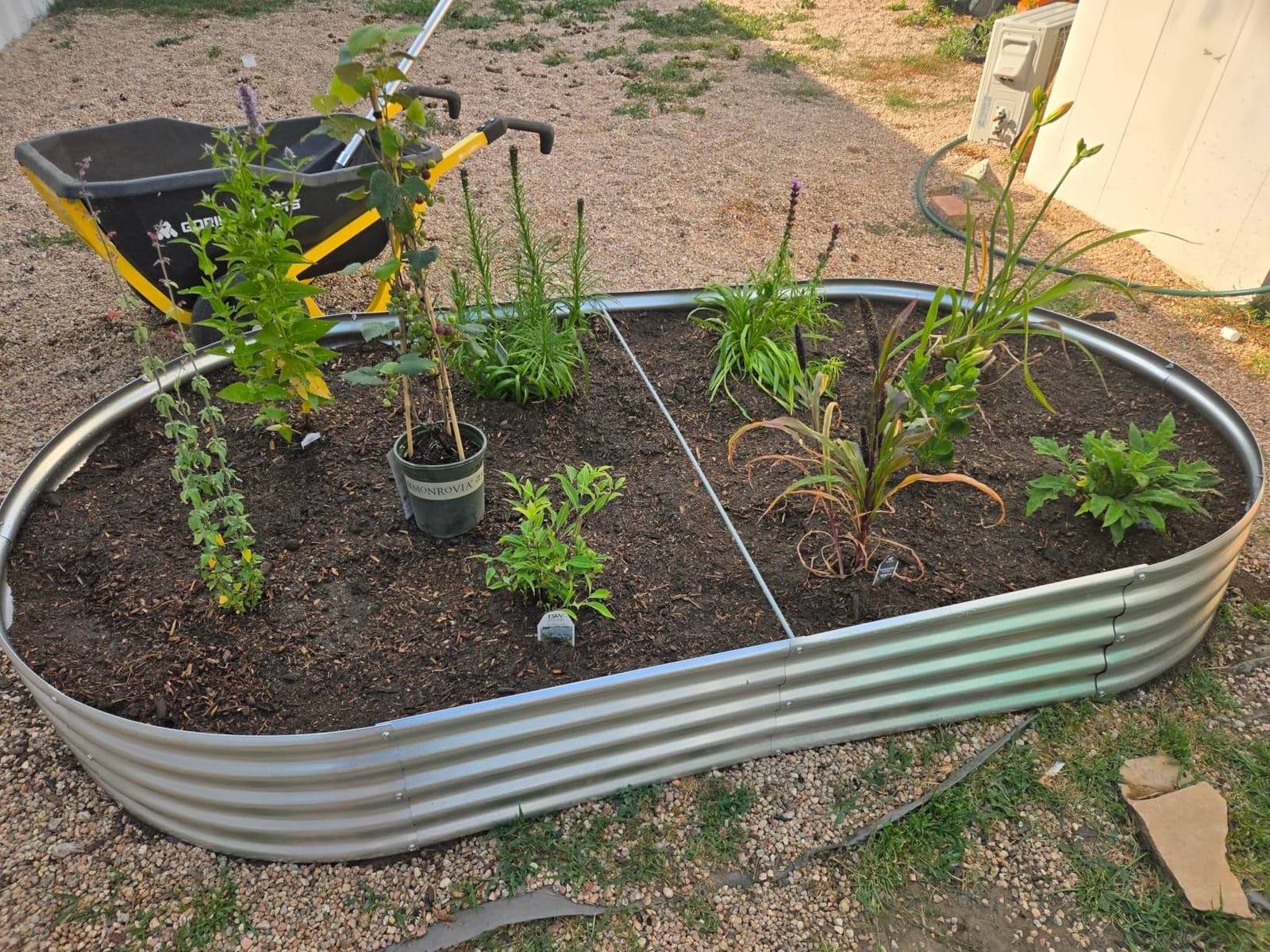 zizin 2 Pack Galvanized Raised Garden Bed Metal Oval Raised Garden Beds Outdoor Planter Box for Vegetables (6x3x1FT, Silver) customer photo 2