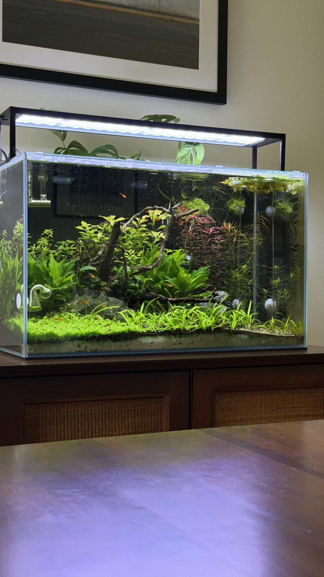 FZONE Aquarium Light for Plants, 60W LED Fish Tank Light for 35-43